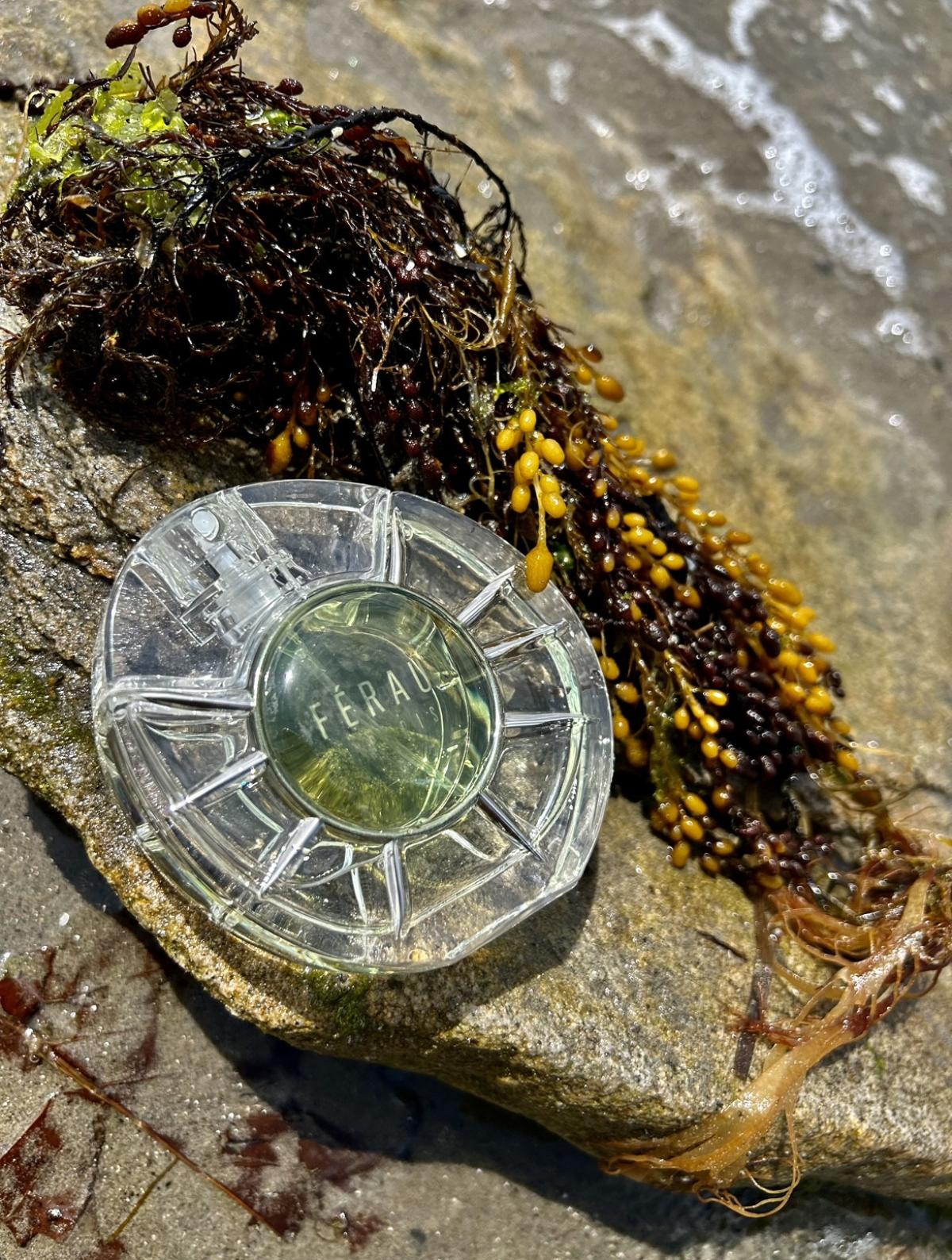 عطر ادکلن سولِی دِ ژاد لویی فرود - Soleil de Jade Louis Feraud - بررسی، قیمت و خرید