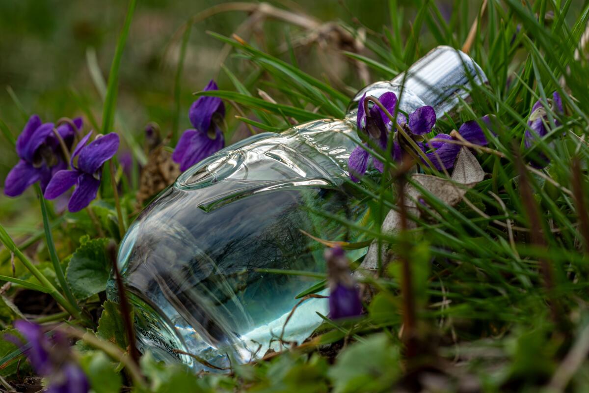 عطر ادکلن شصت و هفت آرتمیزیا پوملاتو - 67 Artemisia Pomellato - بررسی، قیمت و خرید