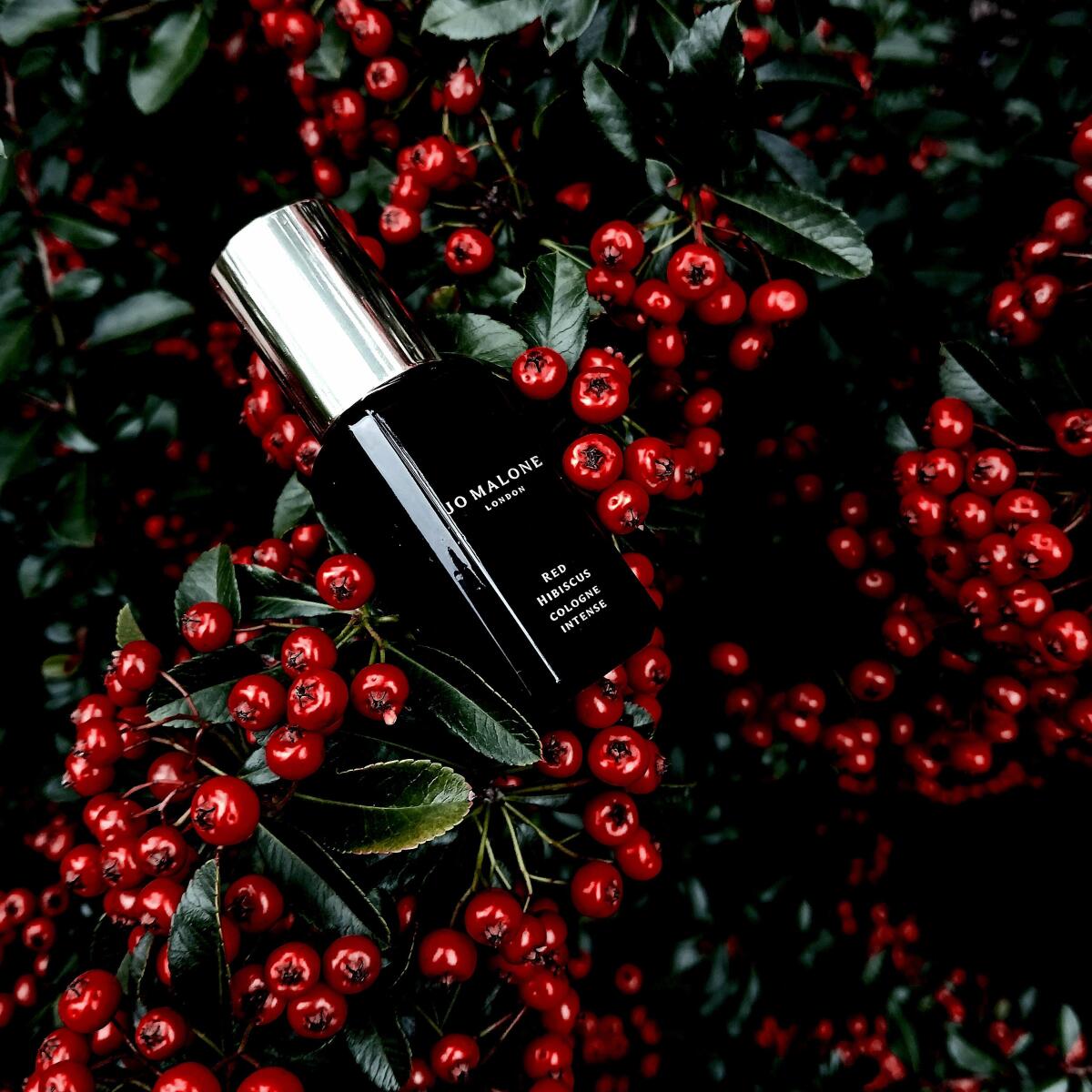 عطر ادکلن رد هیبیسکوس کلون اینتنس جو مالون لاندن - Red Hibiscus Cologne Intense Jo Malone London - بررسی، قیمت و خرید