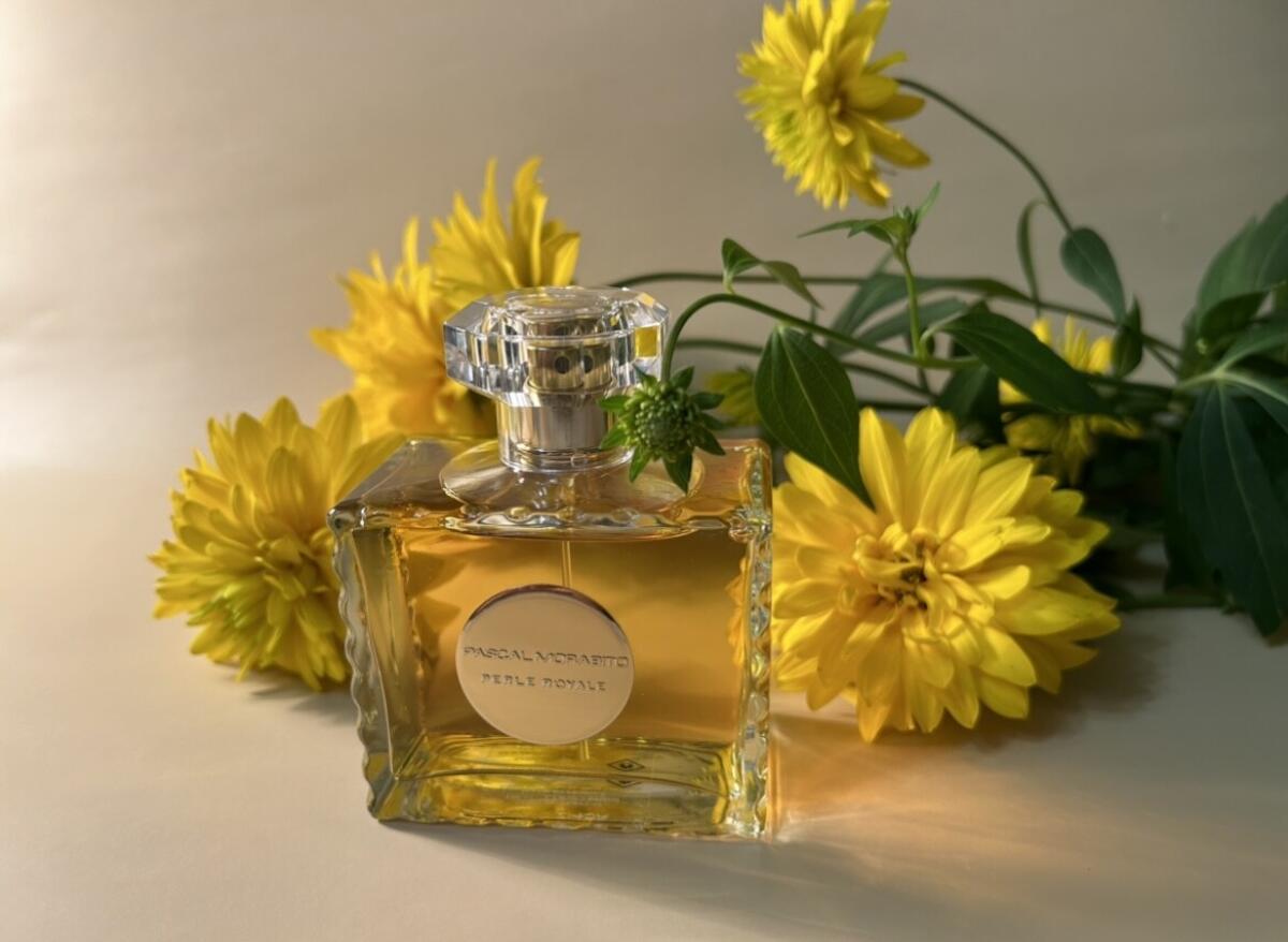عطر ادکلن پرل رویال پاسکال مورابیتو - Perle Royale Pascal Morabito - بررسی، قیمت و خرید