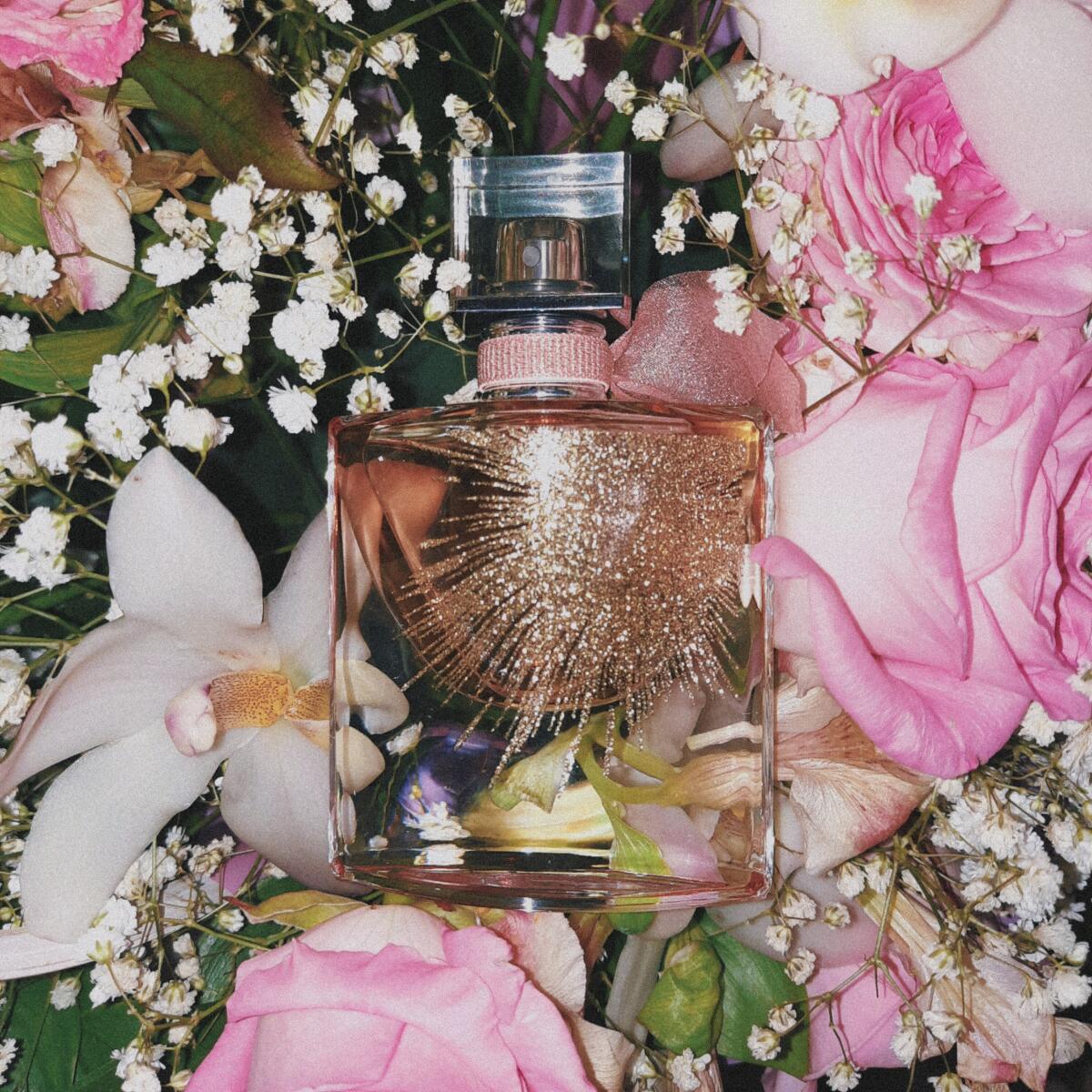عطر ادکلن اویی لا وی اِس بِل لانکوم - Oui La Vie est Belle Lancôme - بررسی، قیمت و خرید