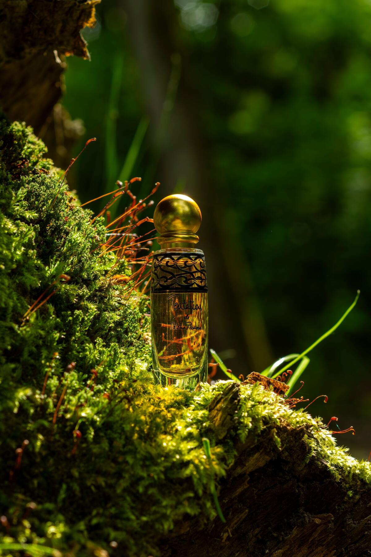 عطر ادکلن تن‌تاشنز پالما پیکاسو - Tentations Paloma Picasso - بررسی، قیمت و خرید