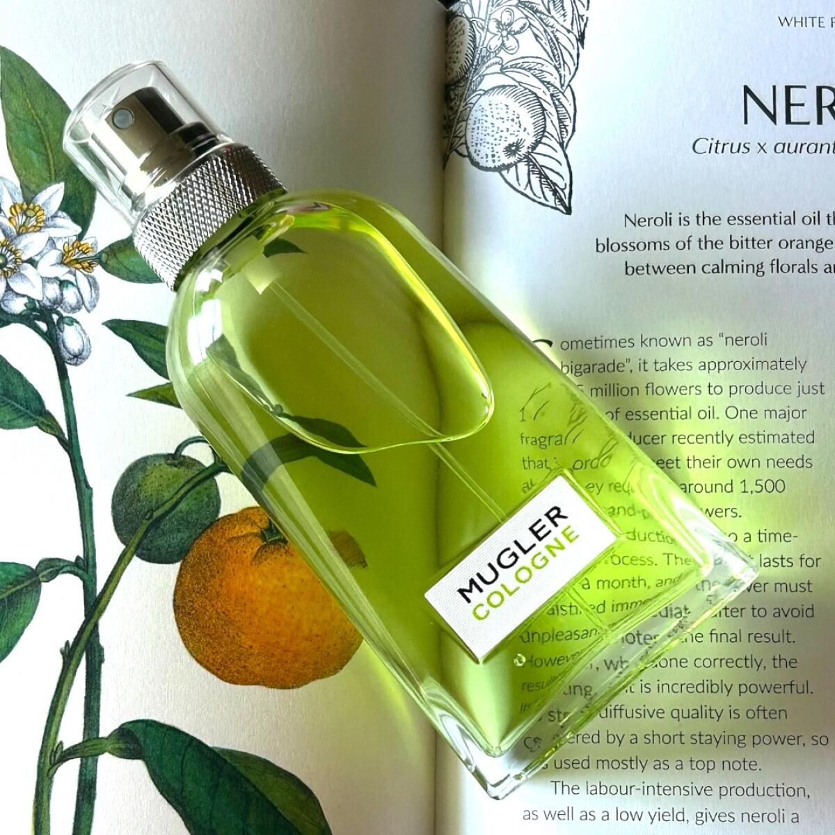 عطر ادکلن ماگلر کلن کام توگدر موگلر - Mugler Cologne Come Together Mugler - بررسی، قیمت و خرید