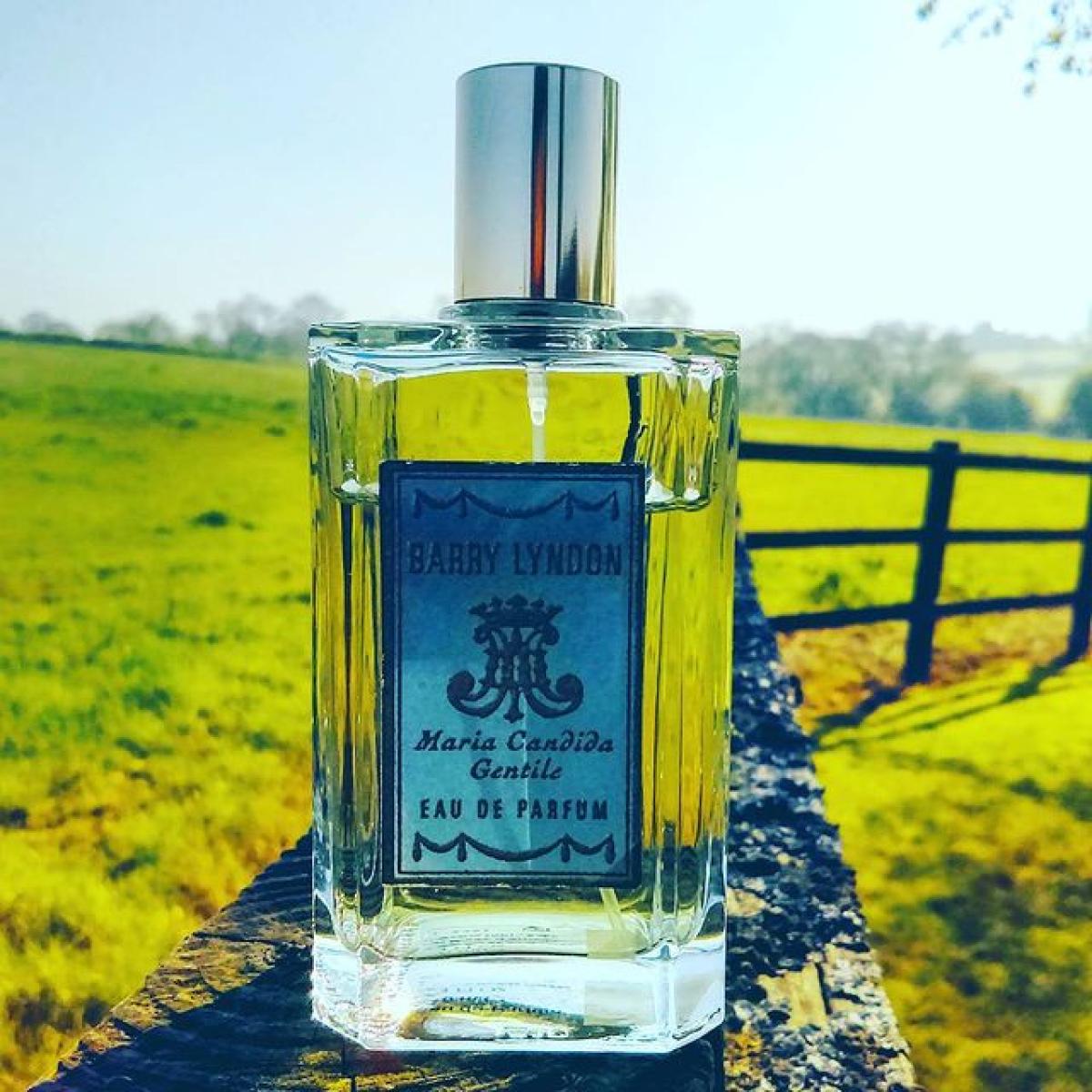 عطر ادکلن بری لیندون ماریا کاندیدا جنتیله - Barry Lyndon Maria Candida Gentile - بررسی، قیمت و خرید