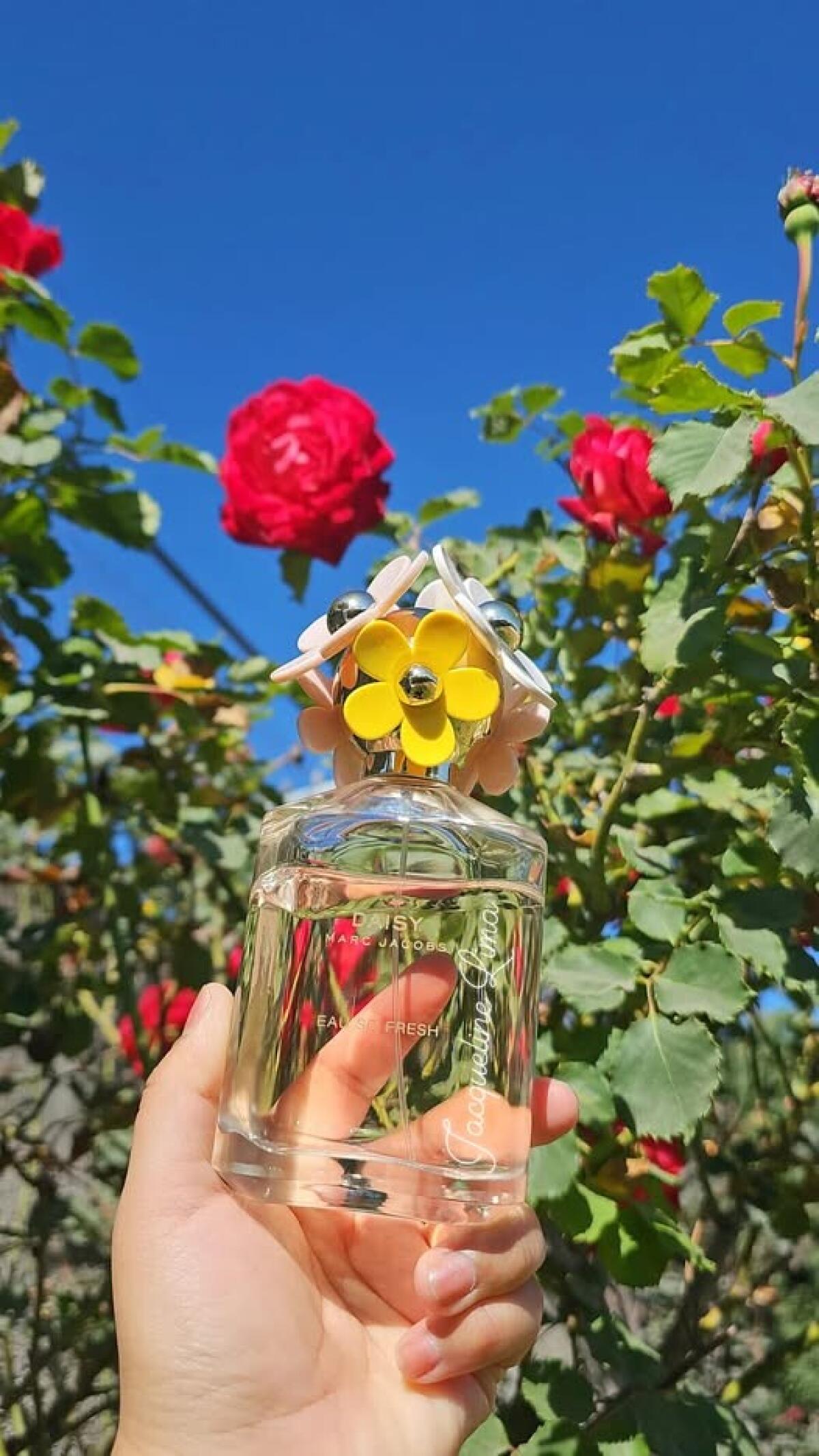 عطر ادکلن دیزی او سو فرش مارک جیکوبز - Daisy Eau So Fresh Marc Jacobs - بررسی، قیمت و خرید