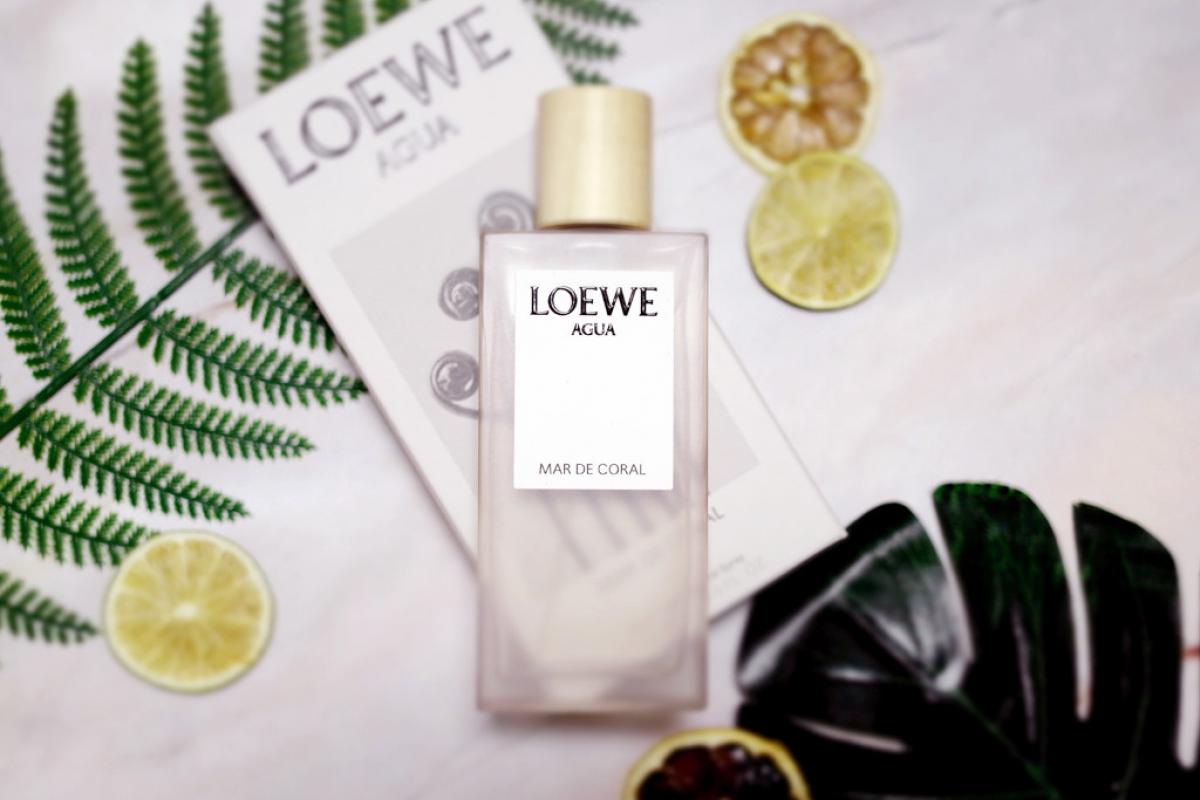 عطر ادکلن آگوا د لوه مار د کورال لووه - Agua de Loewe Mar de Coral Loewe - بررسی، قیمت و خرید