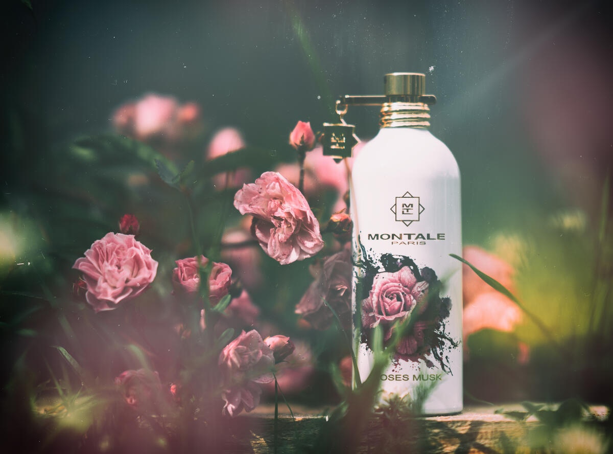 عطر ادکلن رزز ماسک لیمیتد ادیشن مونتال - Roses Musk Limited Edition Montale - بررسی، قیمت و خرید