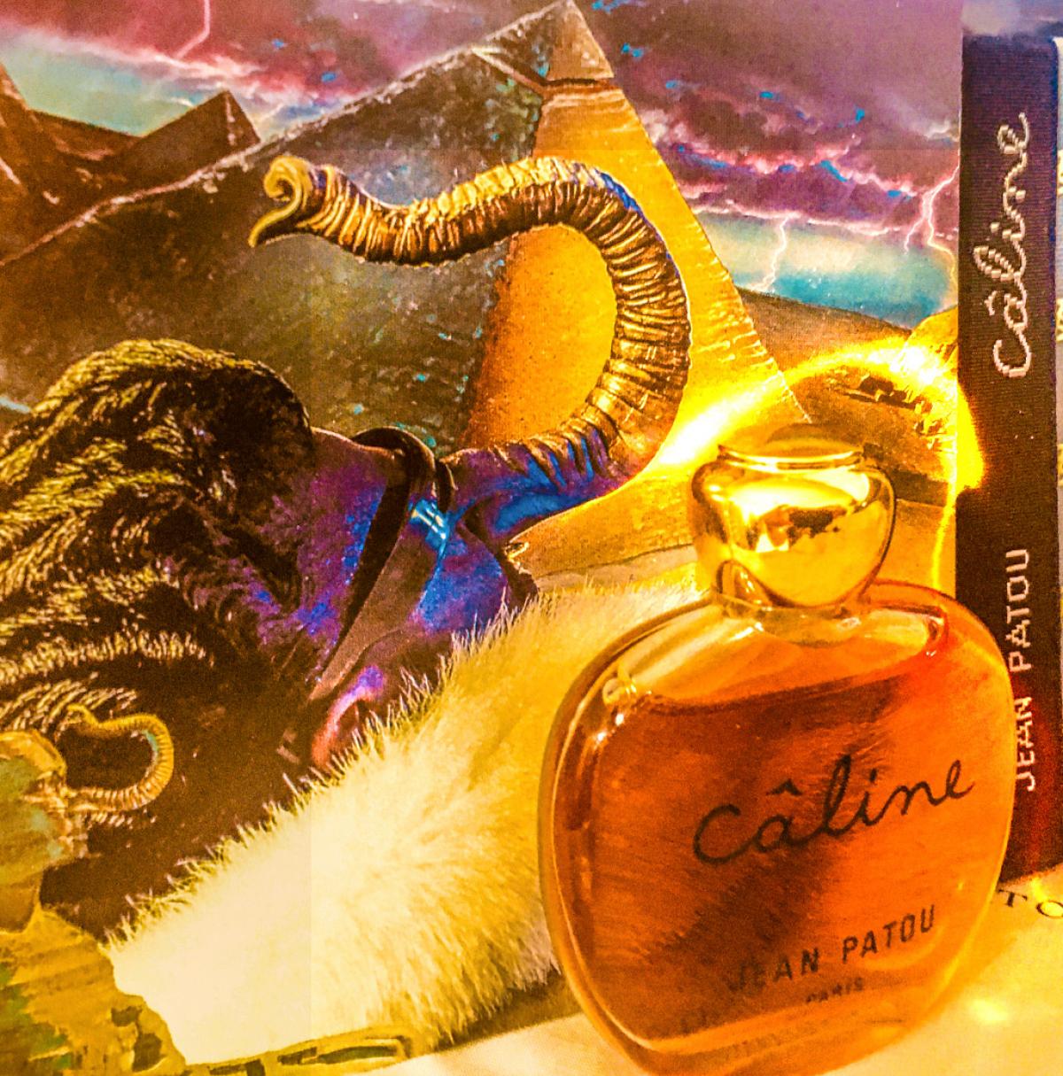 عطر ادکلن کالین ژان پاتو - Câline Jean Patou - بررسی، قیمت و خرید