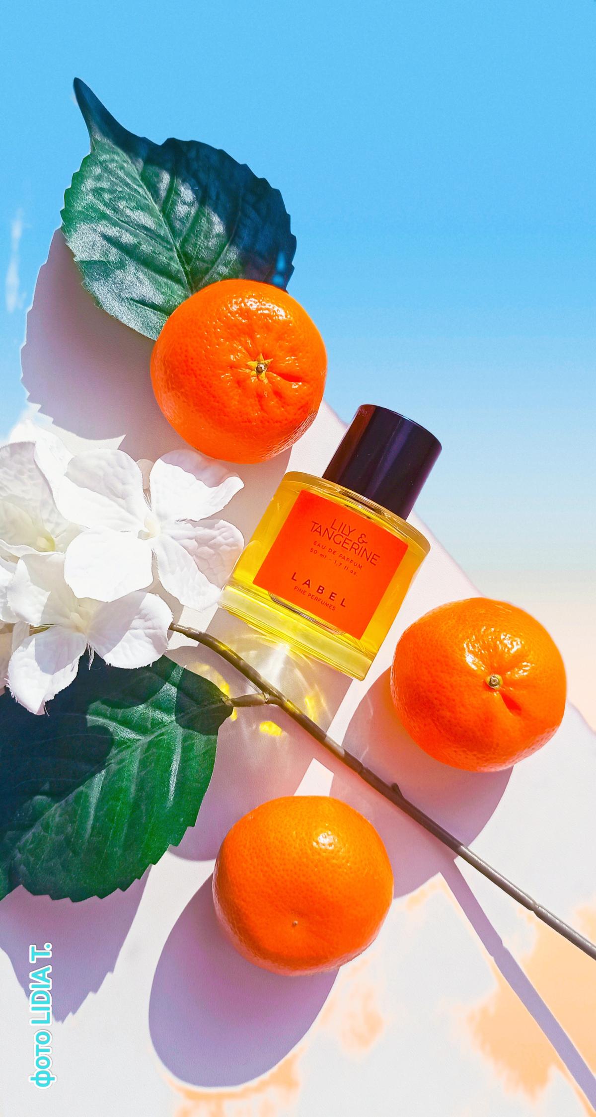 عطر ادکلن لیلی و تنجرین میسون لیبل - Lily & Tangerine Maison Label - بررسی، قیمت و خرید