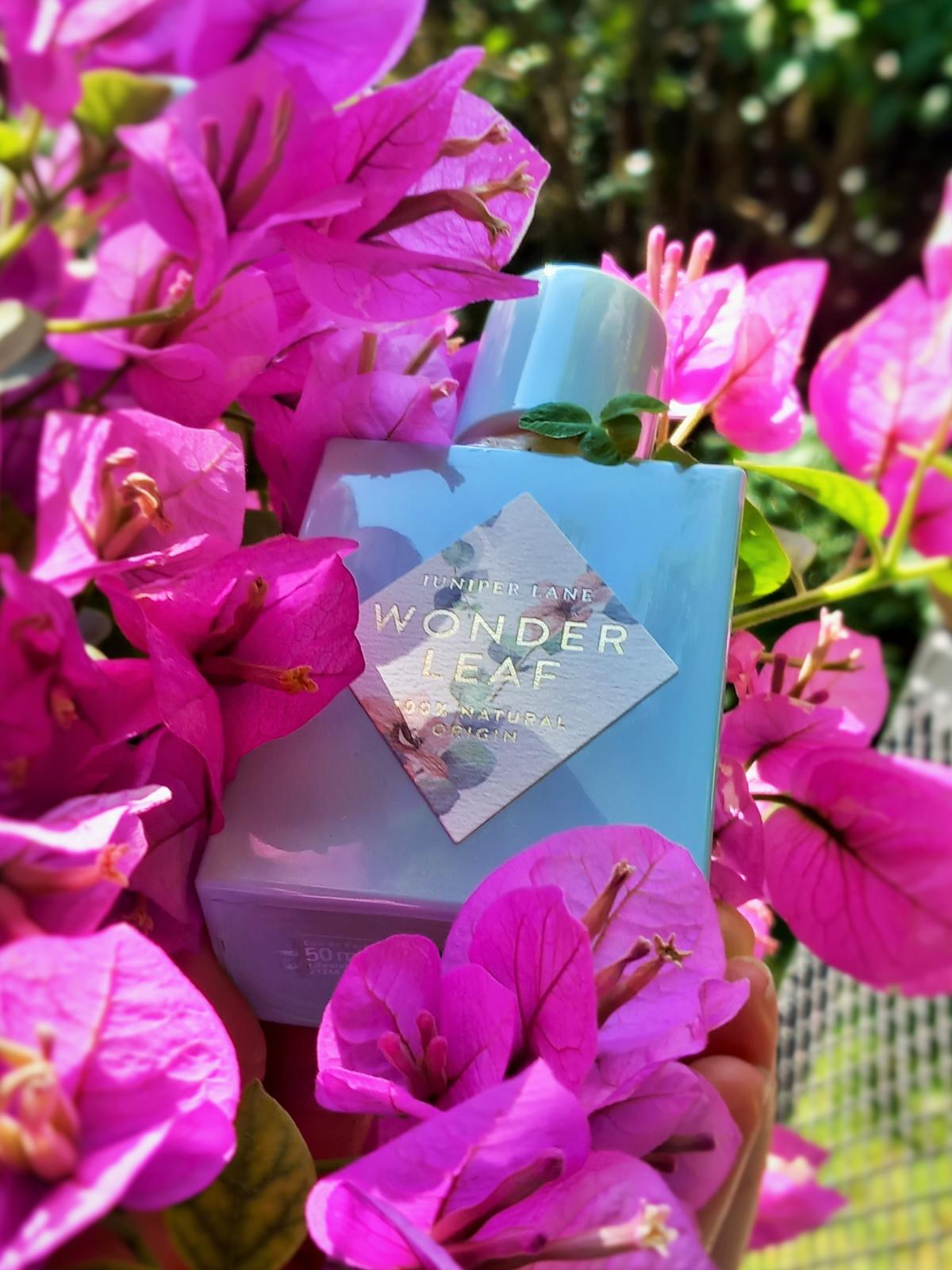 عطر ادکلن واندر لیف نیچر بلاسام - Wonder Leaf Nature Blossom - بررسی، قیمت و خرید