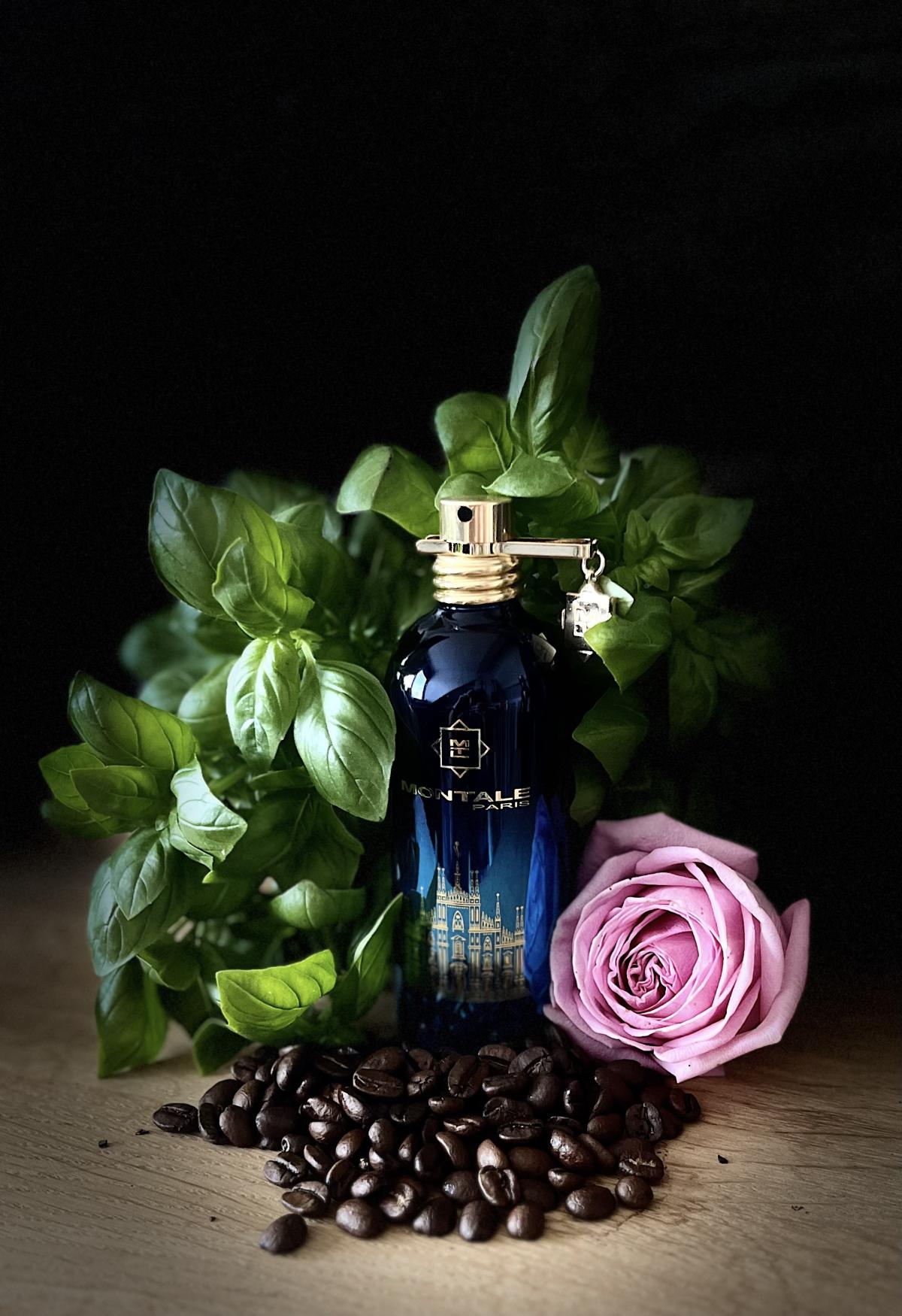 عطر ادکلن رانده وو به میلان مونتال - Rendez-vous à Milan Montale - بررسی، قیمت و خرید