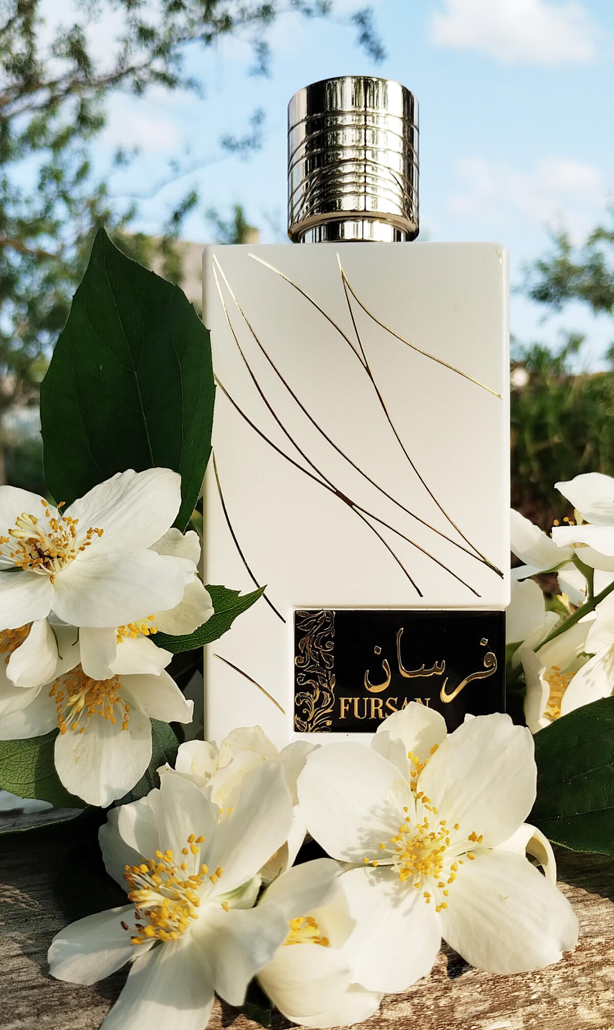 عطر ادکلن فرسان وایت خدلج پرفیومز - Fursan White Khadlaj Perfumes - بررسی، قیمت و خرید