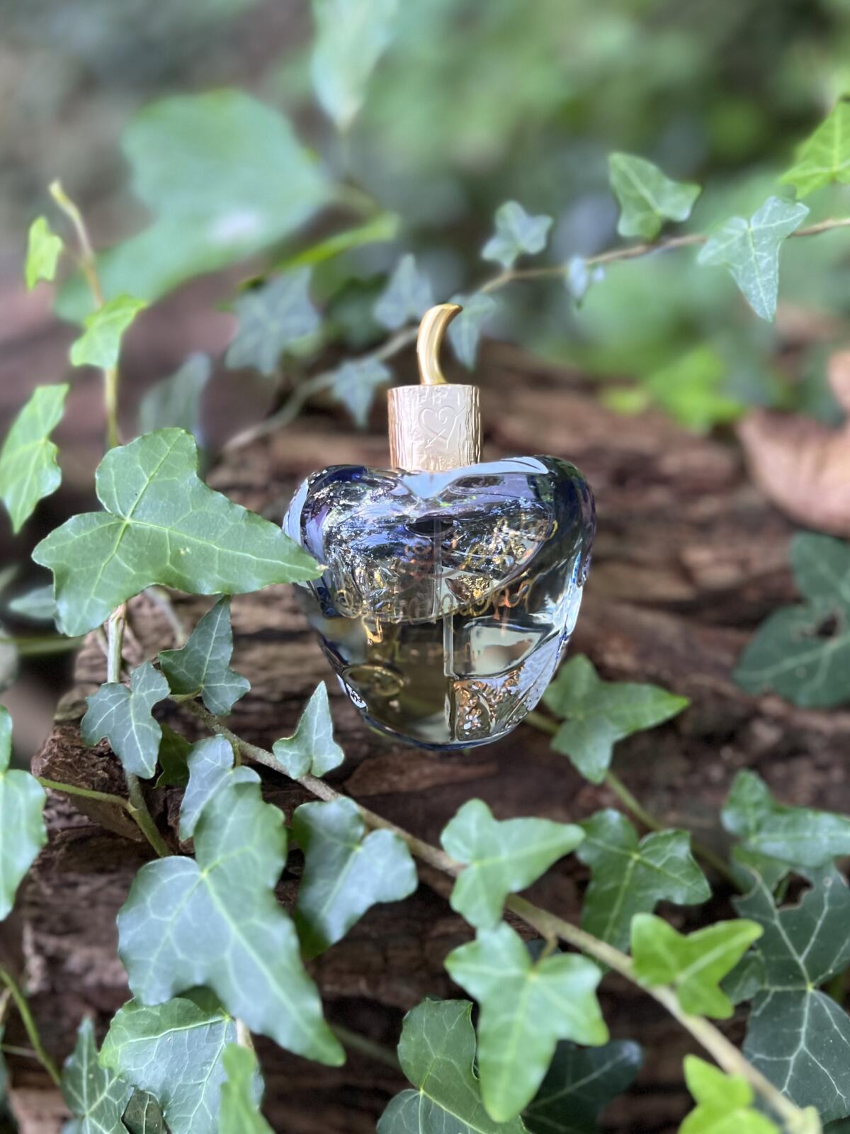 عطر ادکلن لولیتا لمپیکا له پارفوم بیست بیست و سه لولیتا لمپیکا - Lolita Lempicka Le Parfum 2023 Lolita Lempicka - بررسی، قیمت و خرید