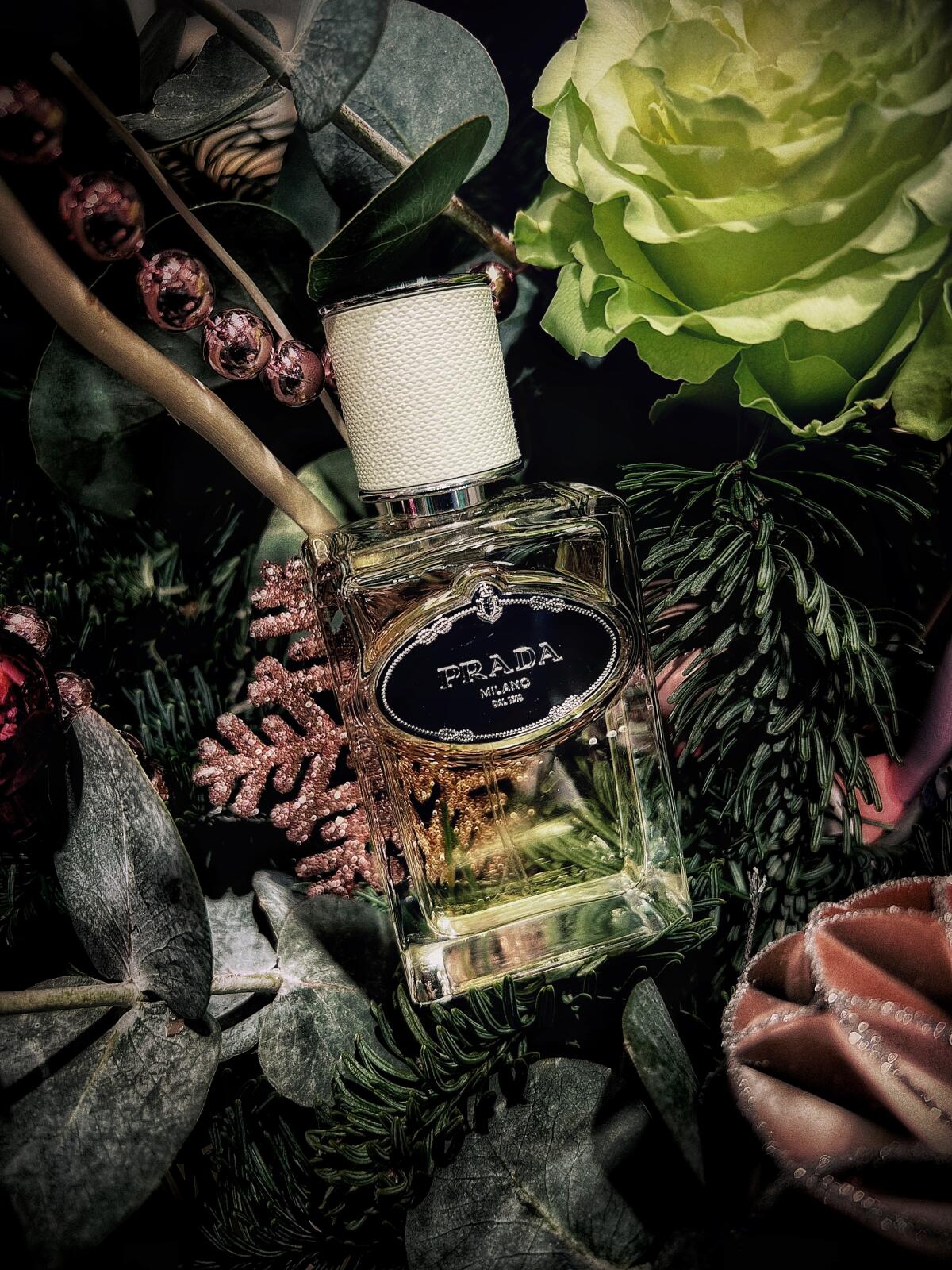 عطر ادکلن اینفیوژن دی آیریس پرادا - Infusion d'Iris (2015) Prada - بررسی، قیمت و خرید