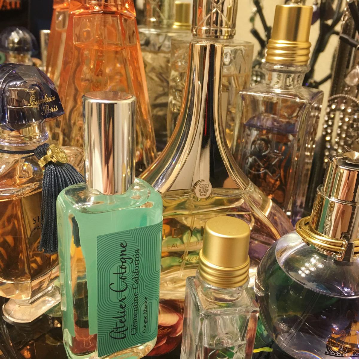 عطر ادکلن آیریس بلو اَند آیریس بلَن لوکسی‌تان - Iris Bleu & Iris Blanc L'Occitane en Provence - بررسی، قیمت و خرید