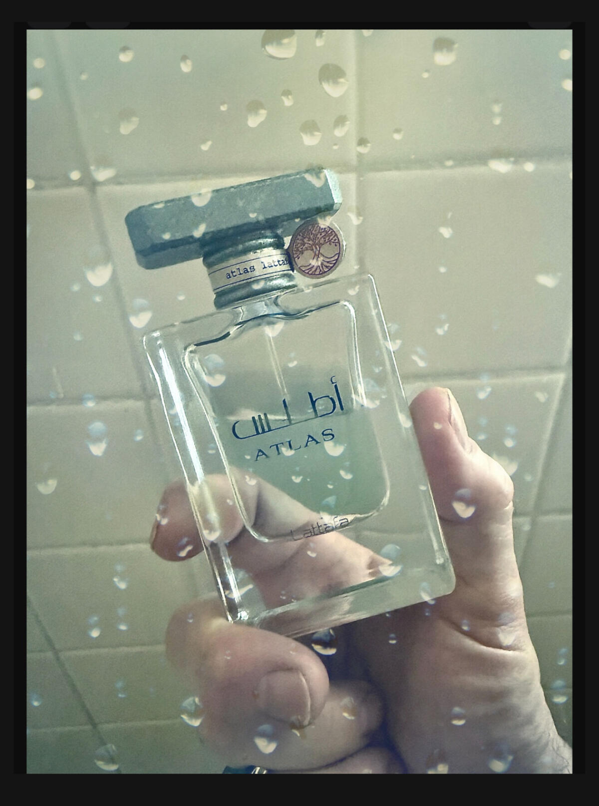 عطر ادکلن اطلس لطافه - Atlas Lattafa Perfumes - بررسی، قیمت و خرید