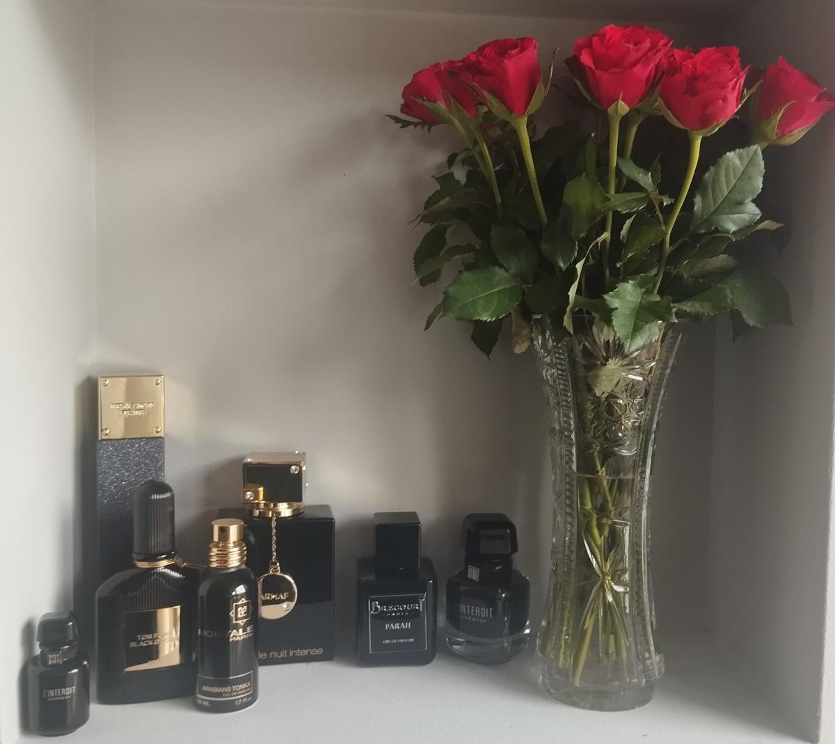 عطر ادکلن استارلایت شیمر مایکل کورس - Starlight Shimmer Michael Kors - بررسی، قیمت و خرید