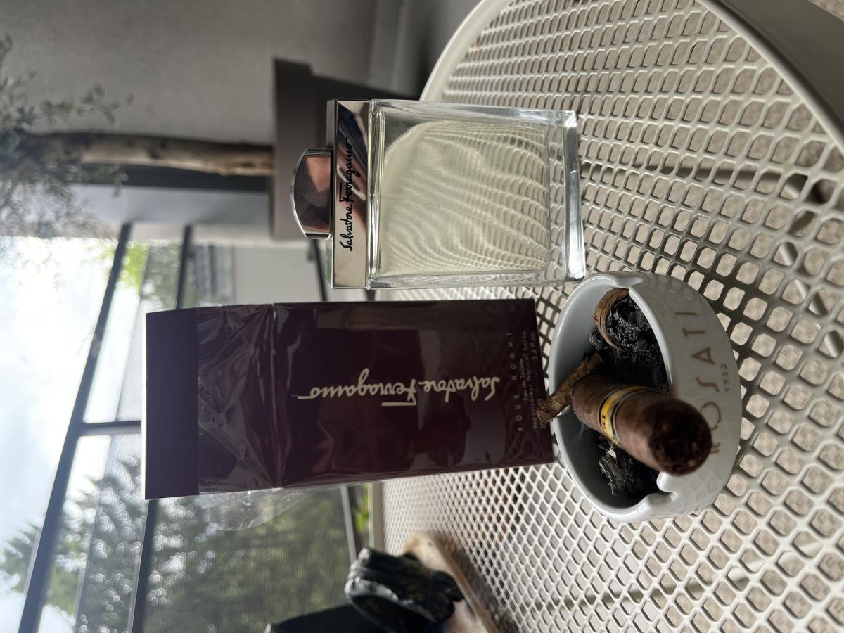 عطر ادکلن سالواتوره فراگامو پور هوم سالواتوره فراگامو - Salvatore Ferragamo Pour Homme Salvatore Ferragamo - بررسی، قیمت و خرید