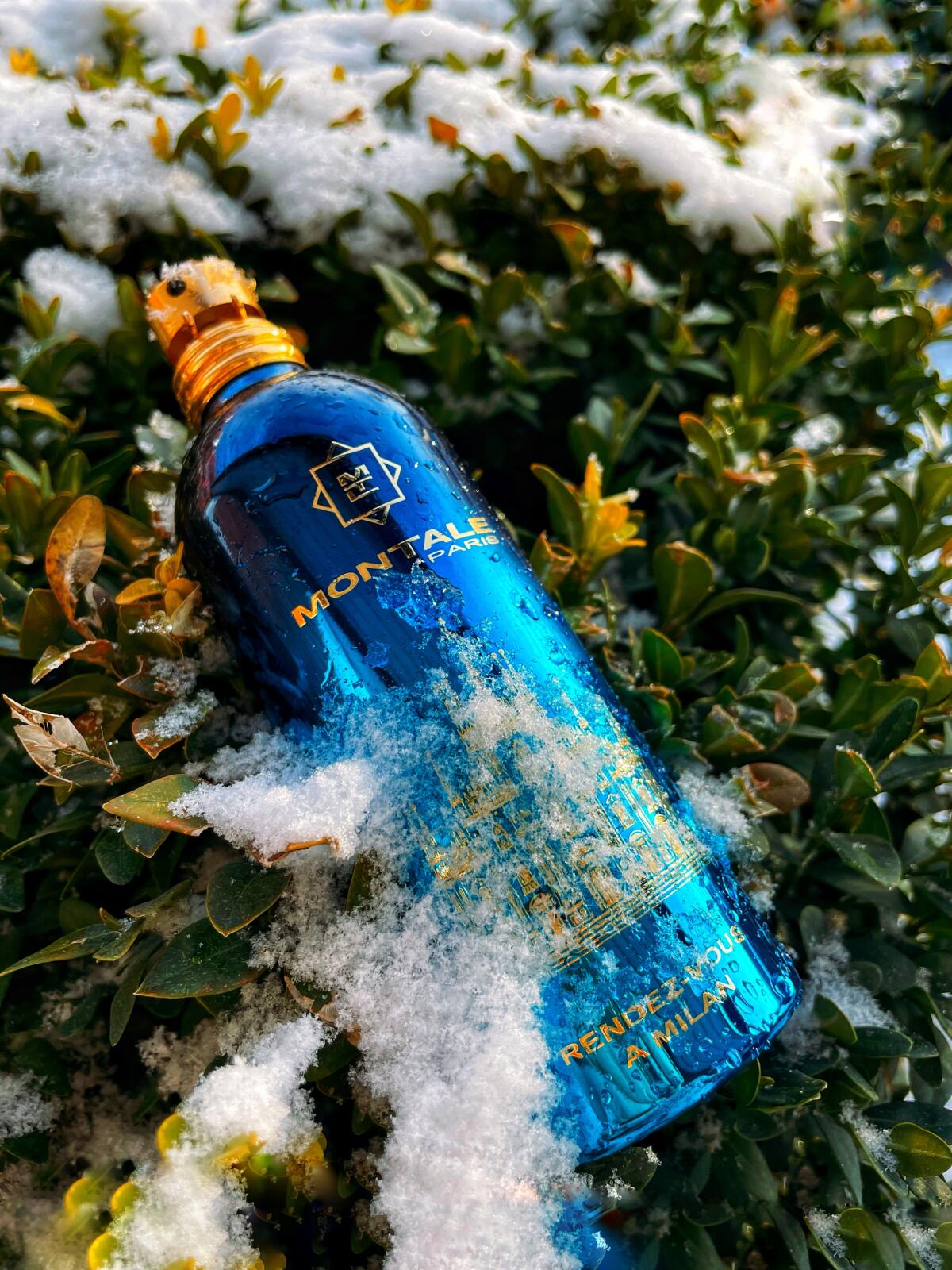 عطر ادکلن رانده وو به میلان مونتال - Rendez-vous à Milan Montale - بررسی، قیمت و خرید