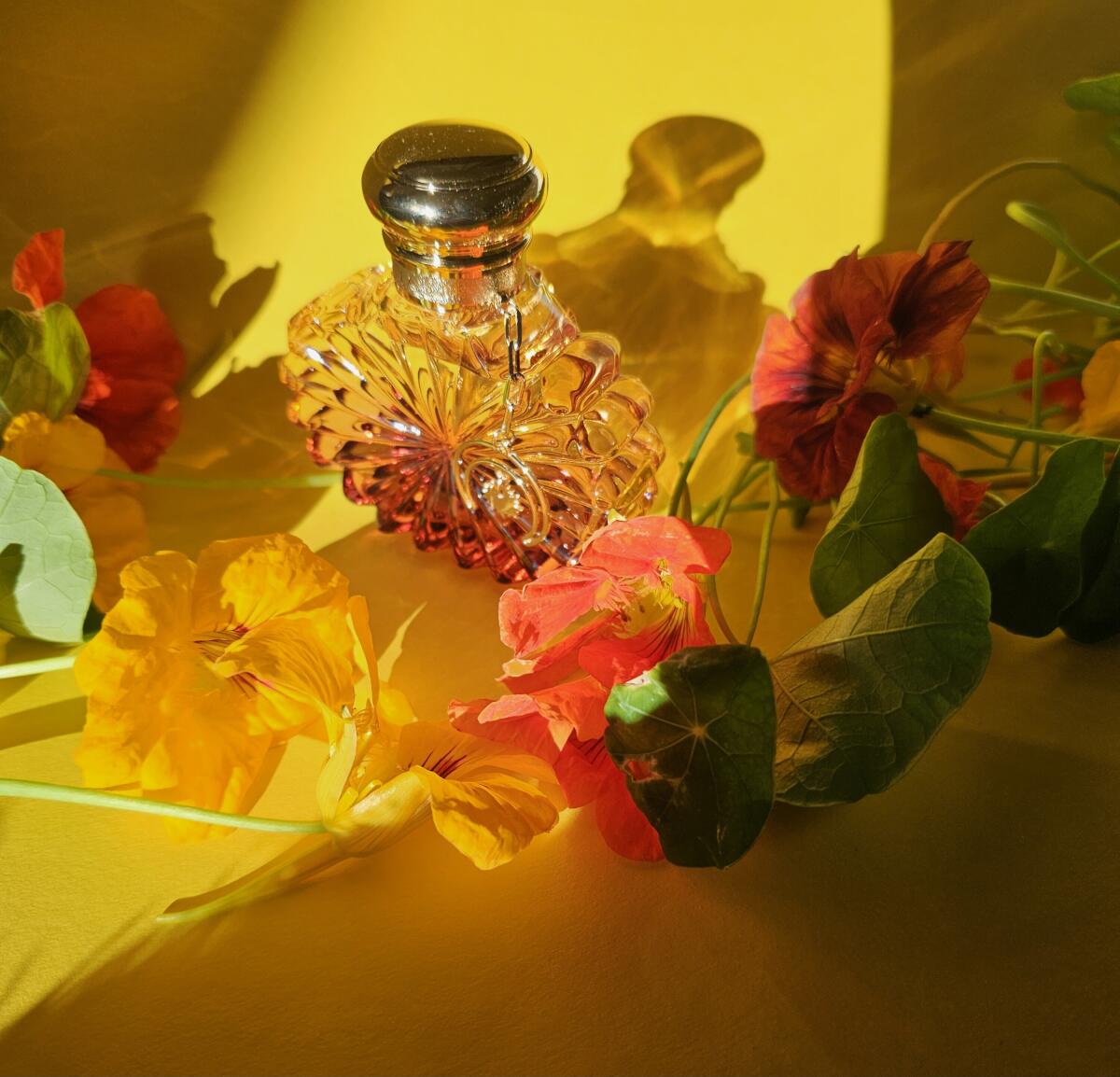 عطر ادکلن سولیل لونار لالیک - Soleil Lunar Lalique - بررسی، قیمت و خرید