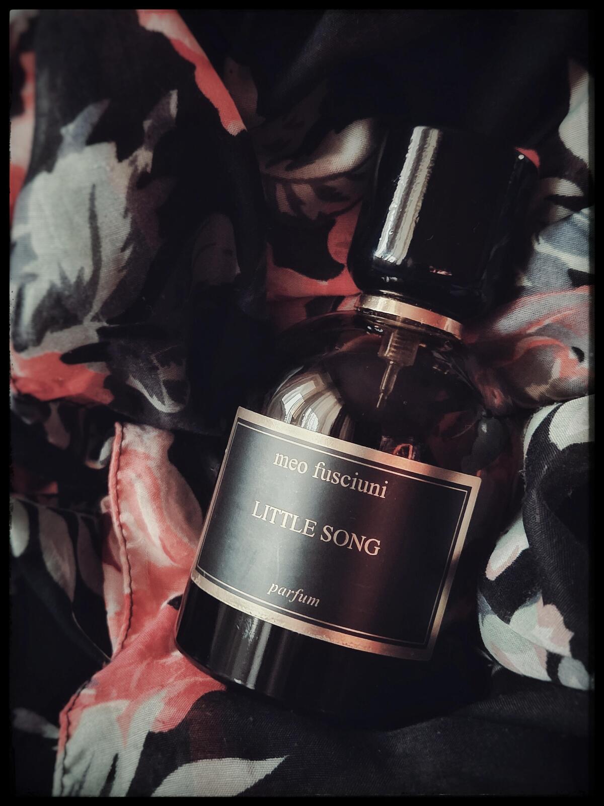 عطر ادکلن لیتل سانگ میو فوشیونی - Little song Meo Fusciuni - بررسی، قیمت و خرید