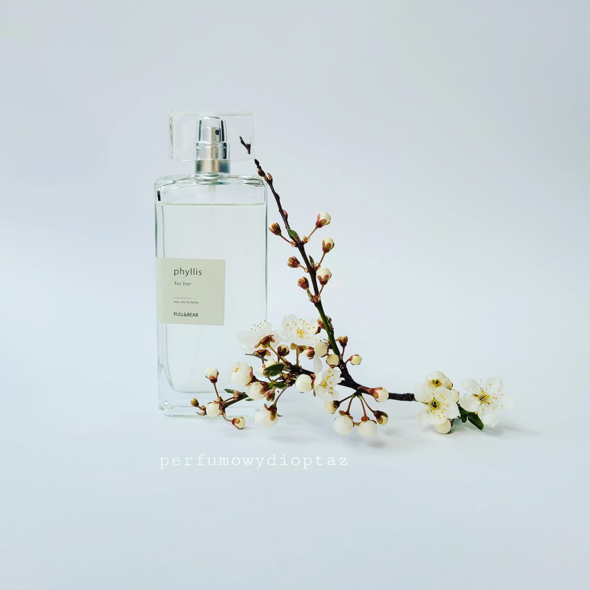 عطر ادکلن فیلیس پول اند بیر - Phyllis Pull & Bear - بررسی، قیمت و خرید