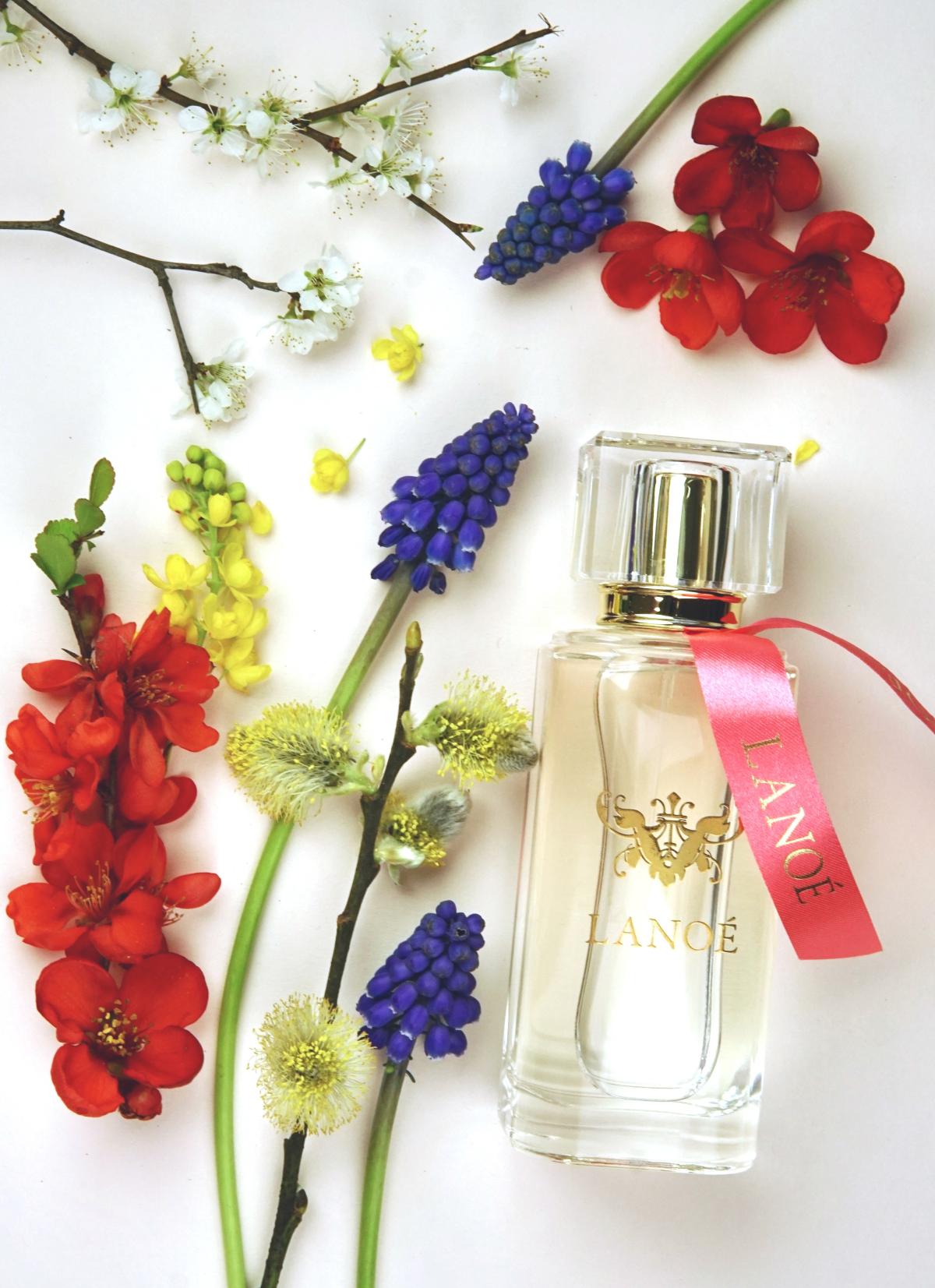عطر ادکلن لاولی لنو - Lovely Lanoe - بررسی، قیمت و خرید