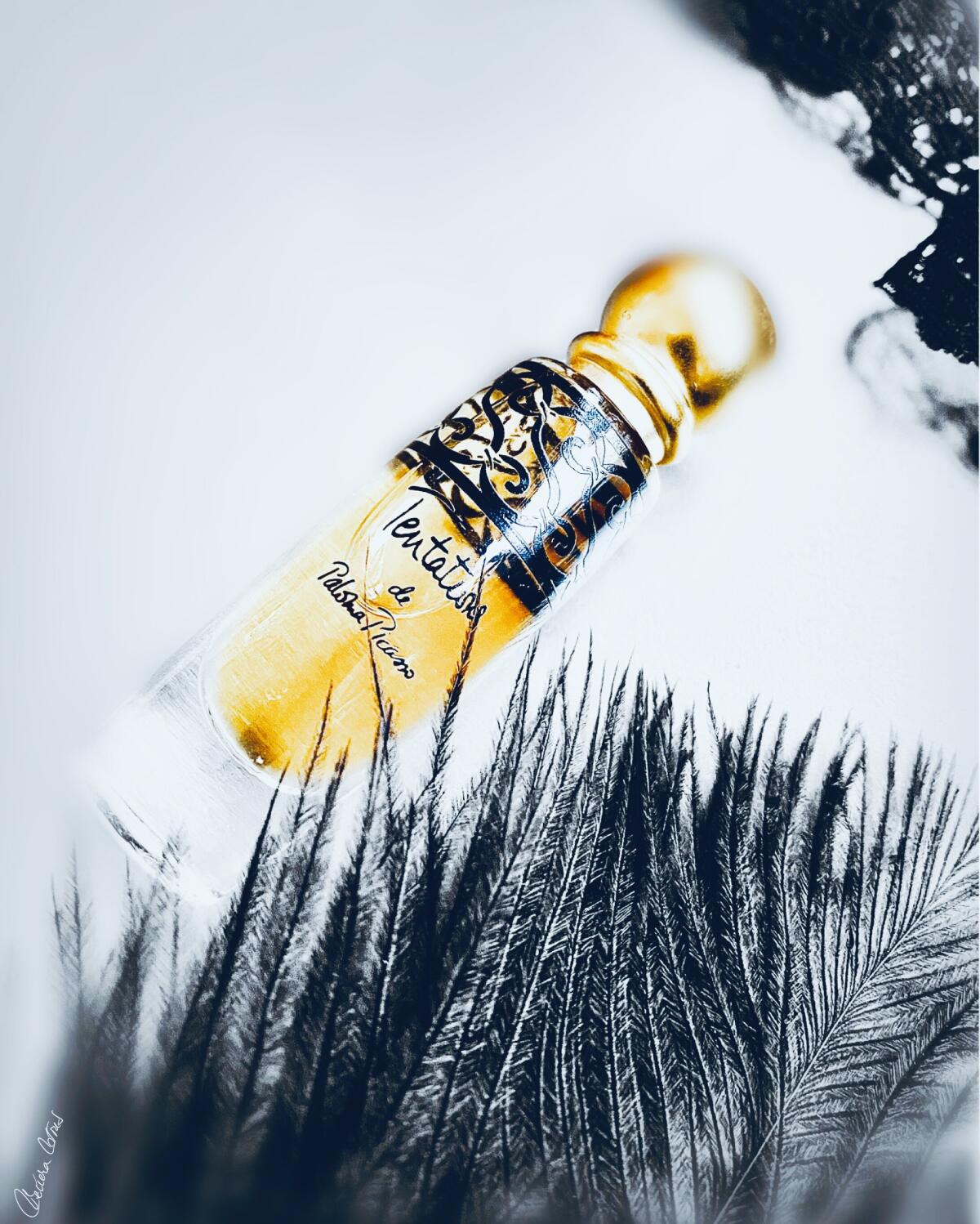 عطر ادکلن تن‌تاشنز پالما پیکاسو - Tentations Paloma Picasso - بررسی، قیمت و خرید