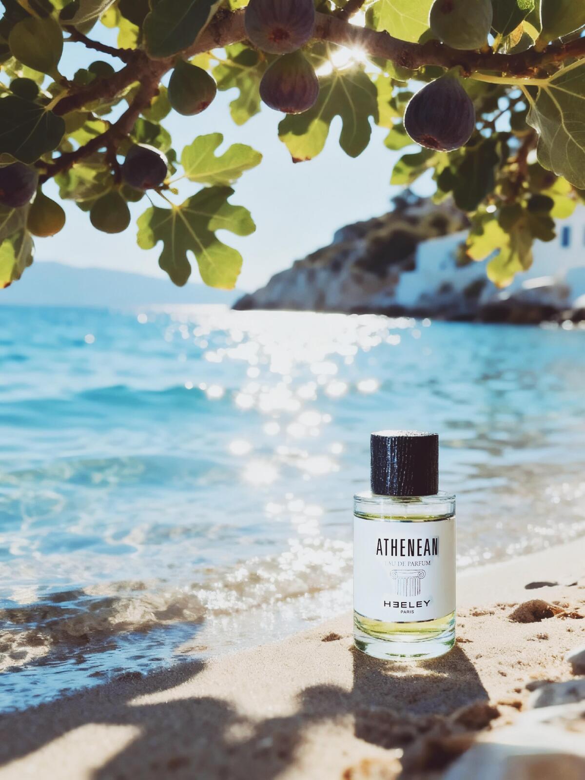 عطر ادکلن آتنین جیمز هیلی - Athenean James Heeley - بررسی، قیمت و خرید