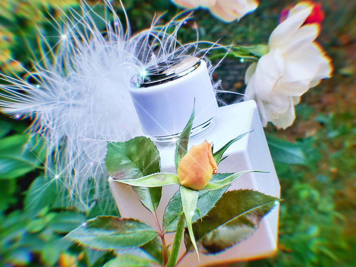عطر ادکلن وایت نارسیس کلسی بروین - White Narcisse Kelsey Berwin - بررسی، قیمت و خرید