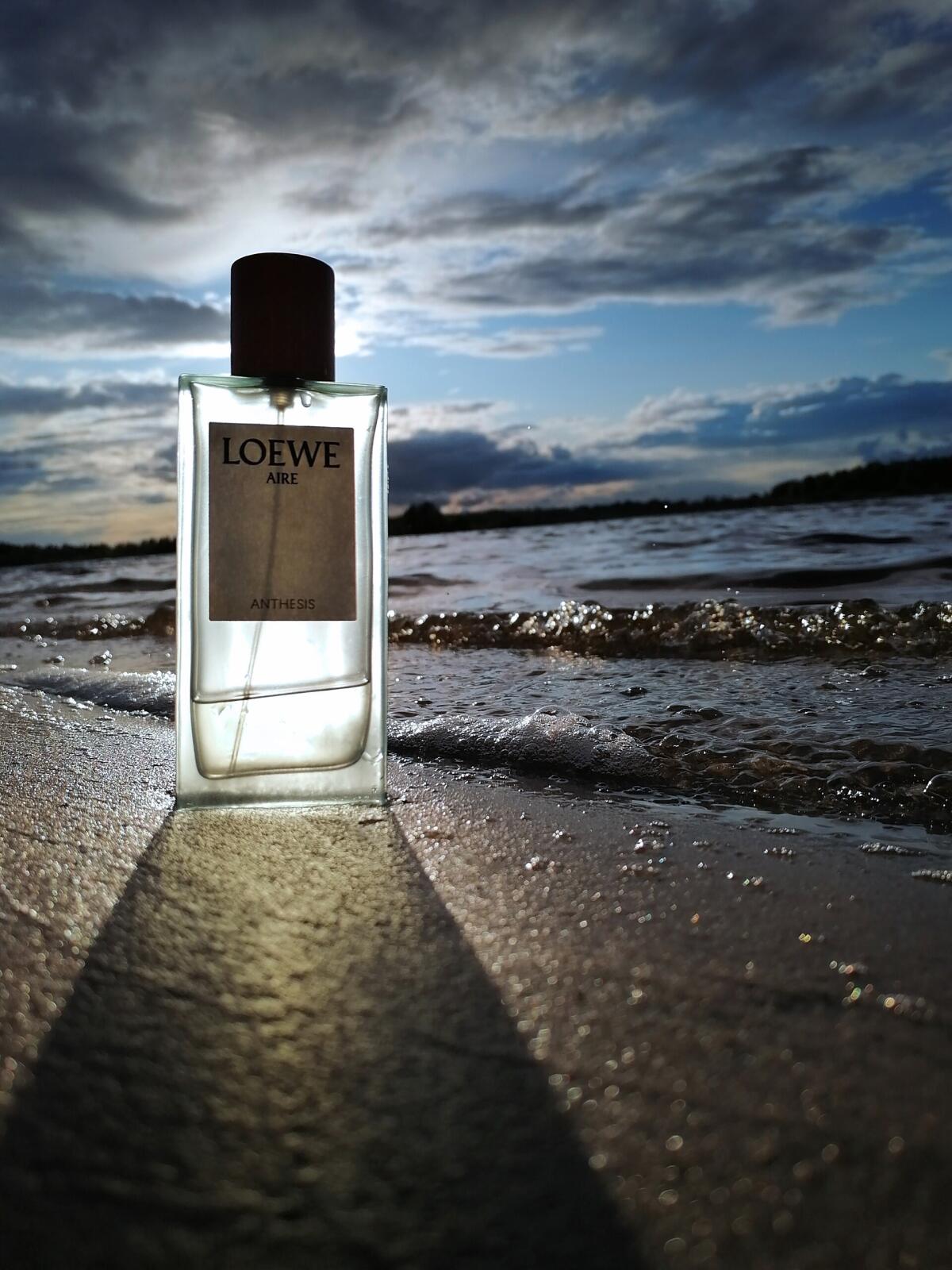 عطر ادکلن ایر آنتسیس لووه - Aire Anthesis Loewe - بررسی، قیمت و خرید