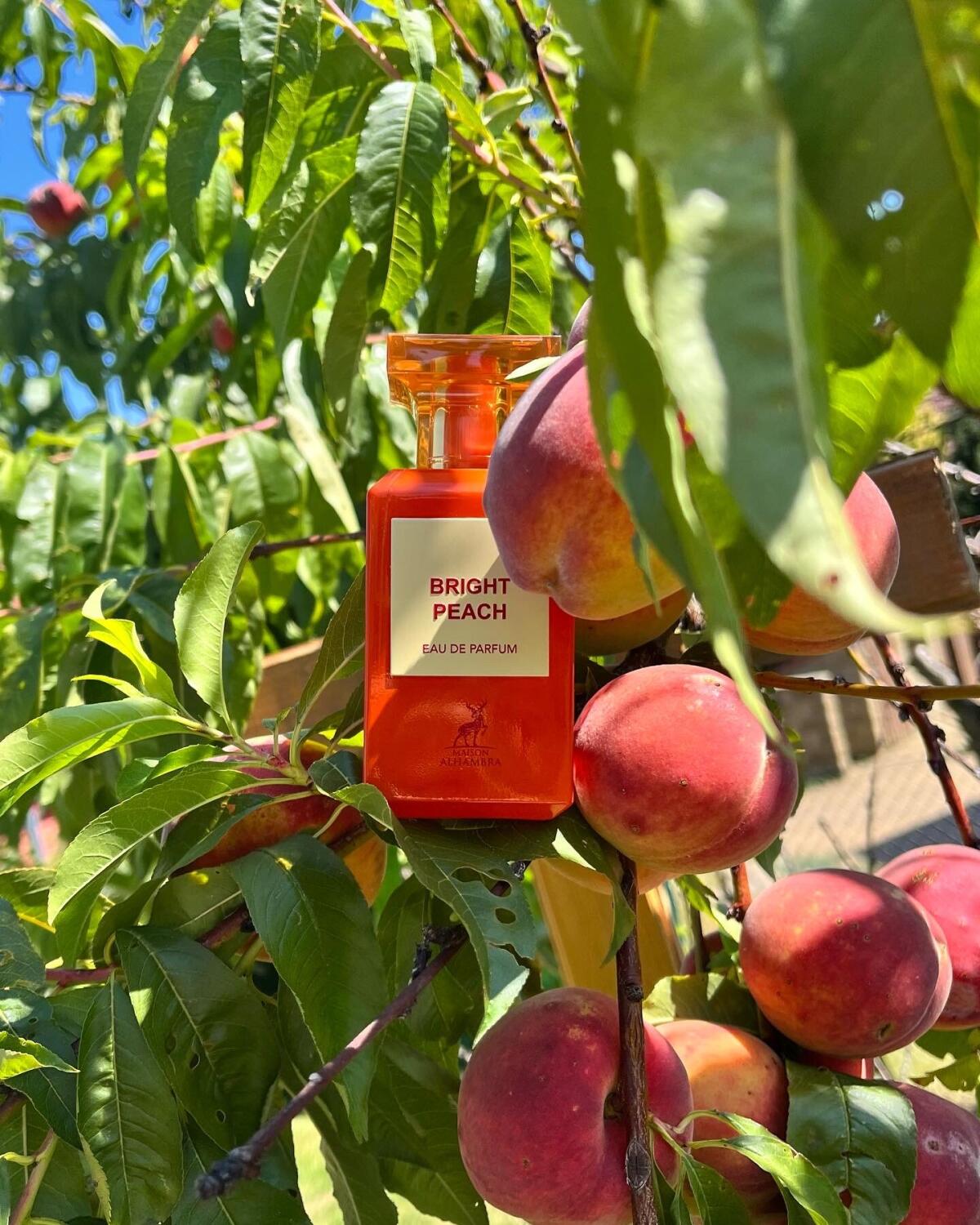 عطر ادکلن برایت پیچ میسون الهمبرا - Bright Peach Maison Alhambra - بررسی، قیمت و خرید