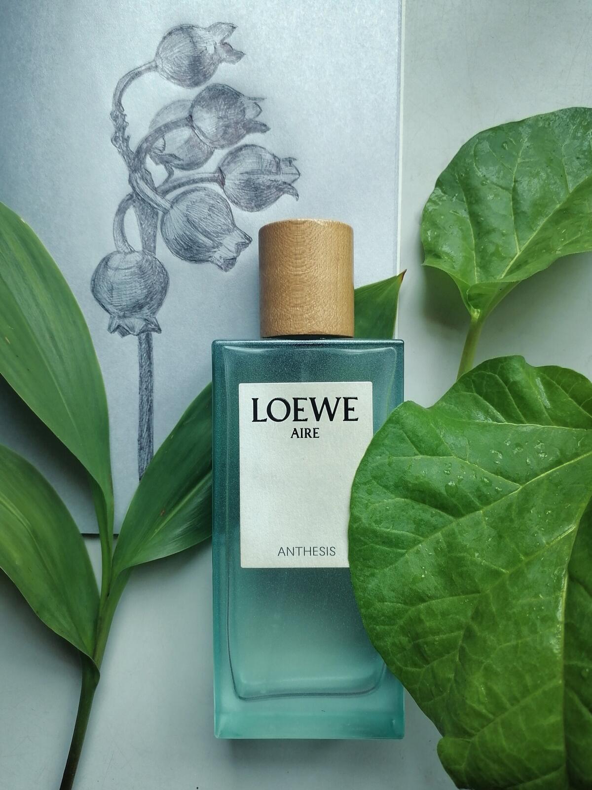 عطر ادکلن ایر آنتسیس لووه - Aire Anthesis Loewe - بررسی، قیمت و خرید