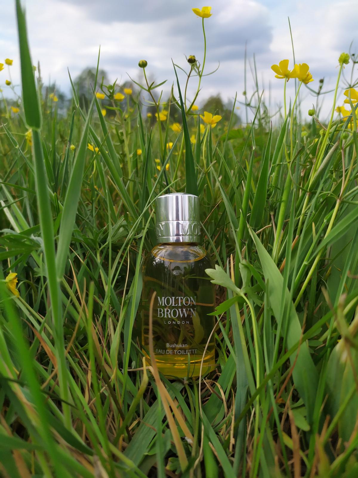 عطر ادکلن بوشوکان مولتون براون - Bushukan Molton Brown - بررسی، قیمت و خرید