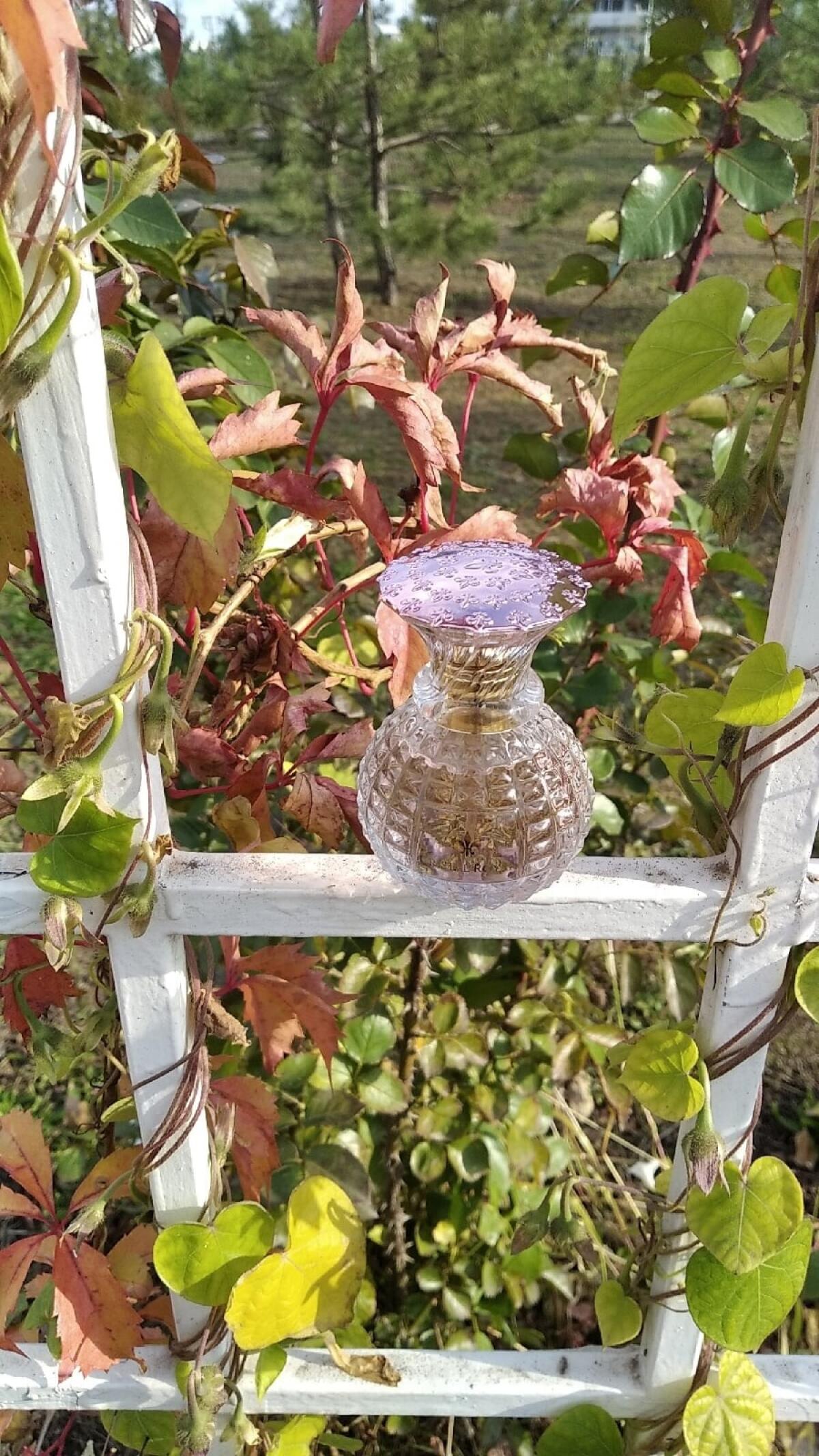 عطر ادکلن کریستال رویال رز پرنسس مارینا دی بوربون - Cristal Royal Rose Princesse Marina De Bourbon - بررسی، قیمت و خرید