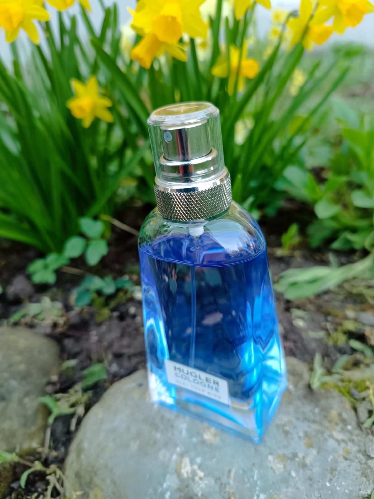 عطر ادکلن هیل یور مایند موگلر - Heal Your Mind Mugler - بررسی، قیمت و خرید