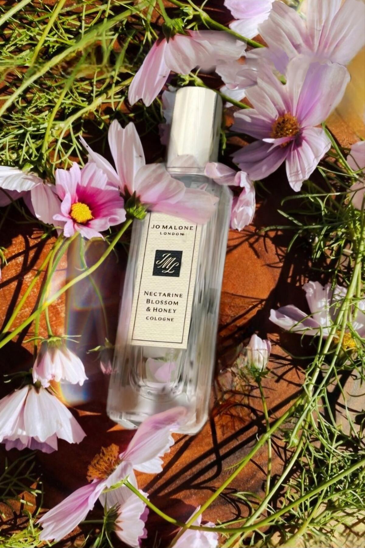 عطر ادکلن نکتارین بلوسام اند هانی جو مالون لندن - Nectarine Blossom & Honey Jo Malone London - بررسی، قیمت و خرید