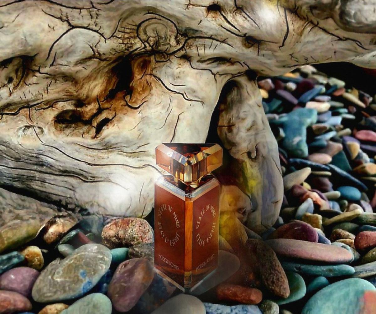 عطر ادکلن ایستتیک توربولنس استیت آو مایند - Aesthetic Turbulence State of Mind - بررسی، قیمت و خرید