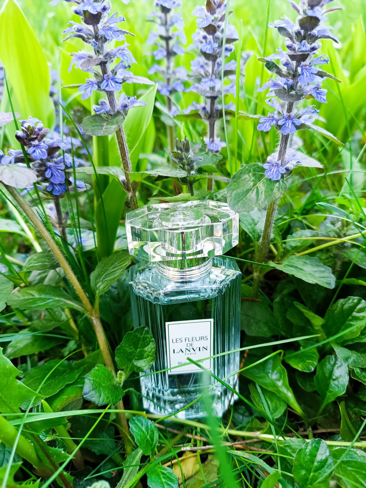عطر ادکلن بلو ارکید لونون - Blue Orchid Lanvin - بررسی، قیمت و خرید