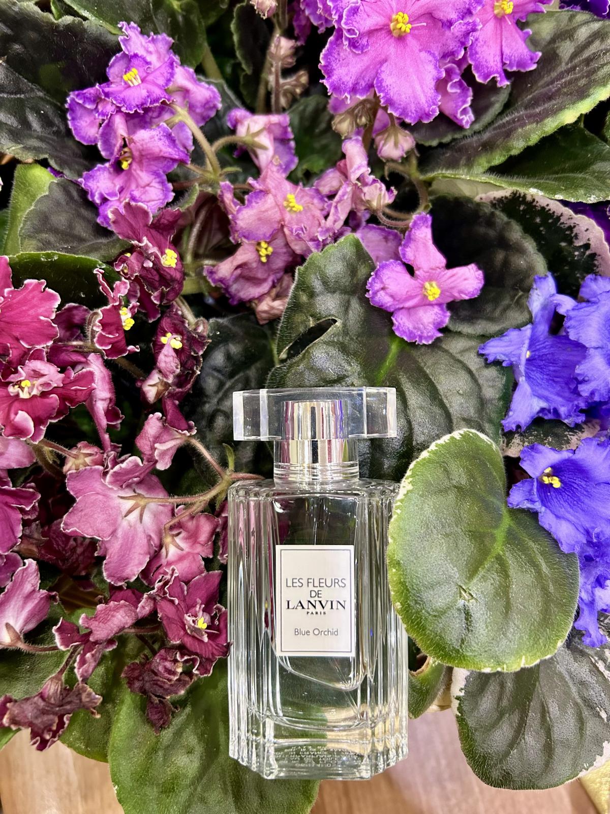عطر ادکلن بلو ارکید لونون - Blue Orchid Lanvin - بررسی، قیمت و خرید