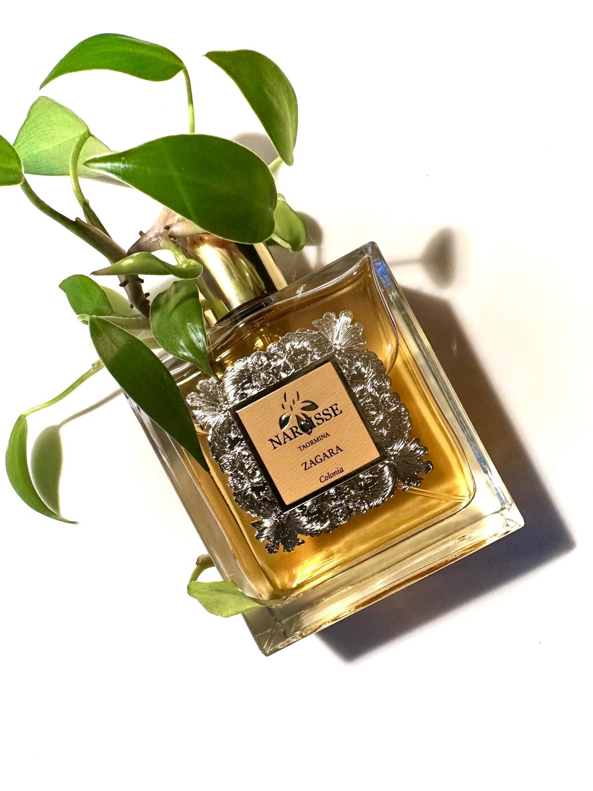 عطر ادکلن زاگارا نارسیس تاورمینا - Zagara Narcisse Taormina - بررسی، قیمت و خرید