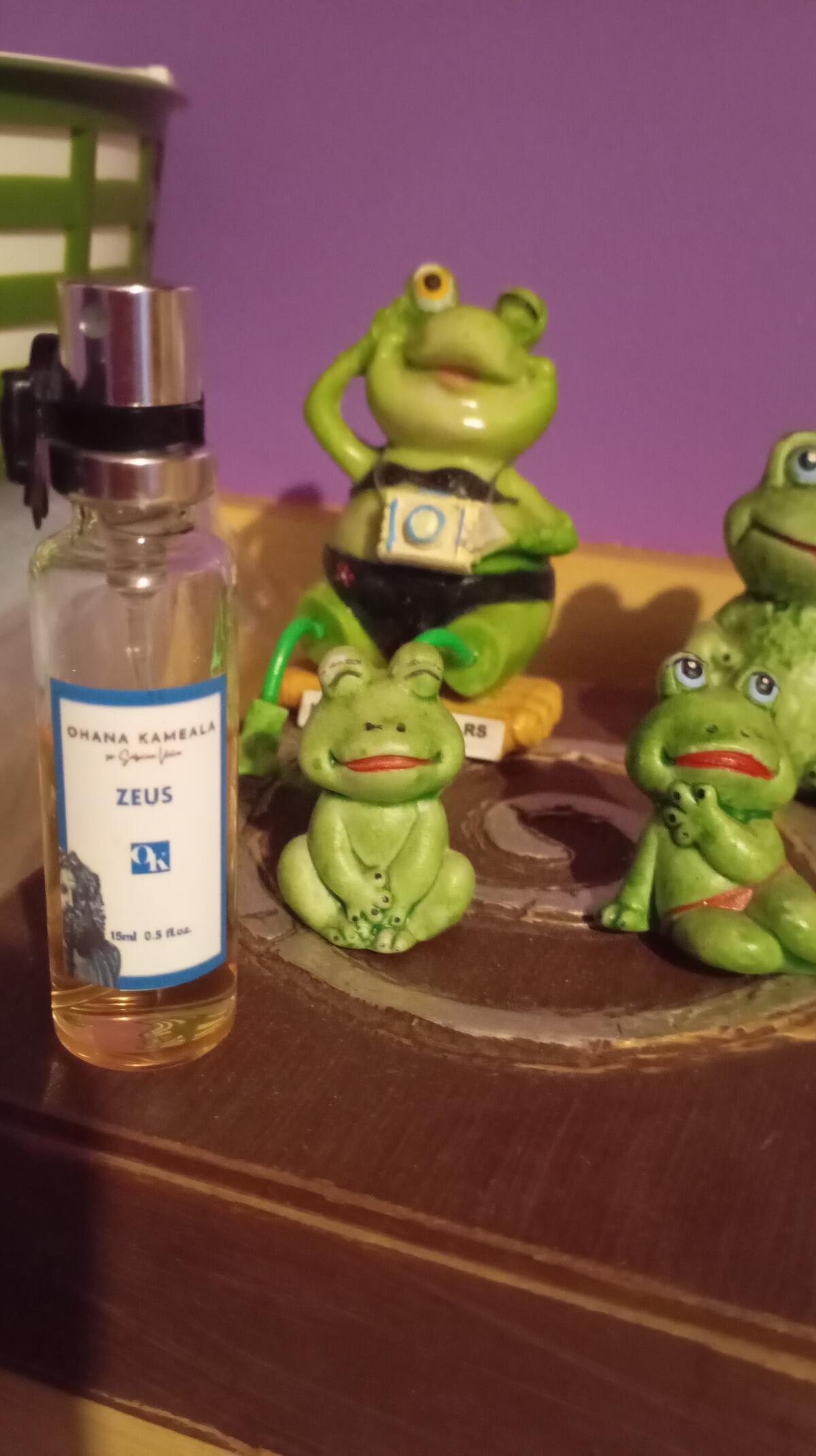 عطر ادکلن زِئوس اوهانا کاملا - Zeus Ohana Kameala - بررسی، قیمت و خرید
