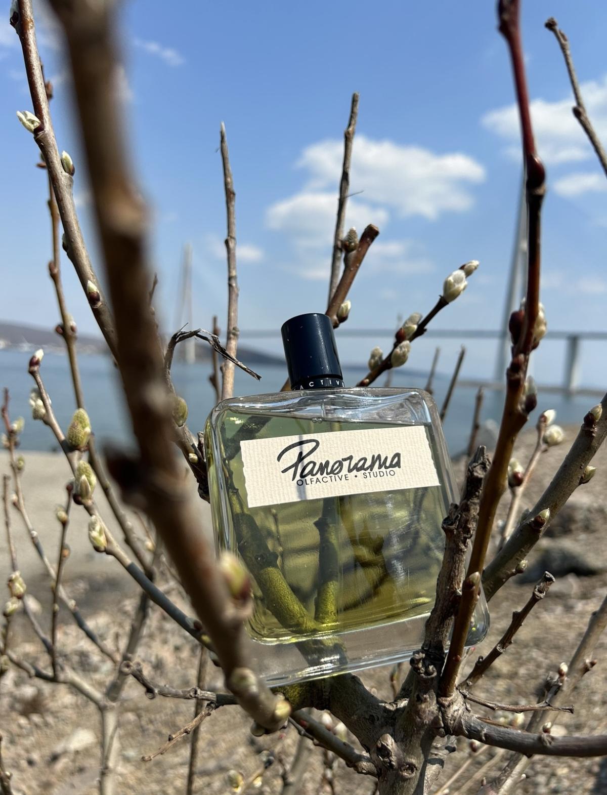 عطر ادکلن پانوراما اولفکتیو استودیو - Panorama Olfactive Studio - بررسی، قیمت و خرید