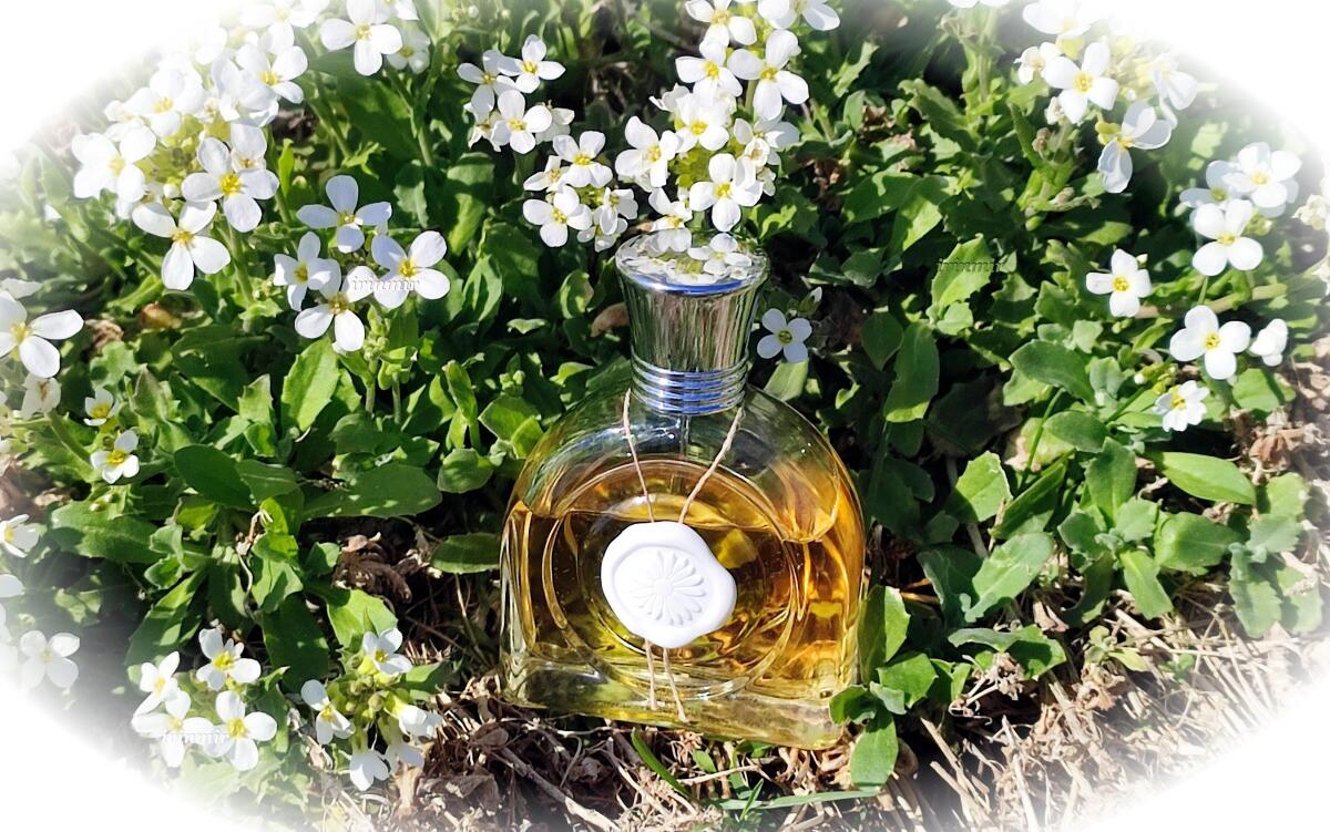 عطر ادکلن فلور دو لون میکل - Fleur de Lune M. Micallef - بررسی، قیمت و خرید