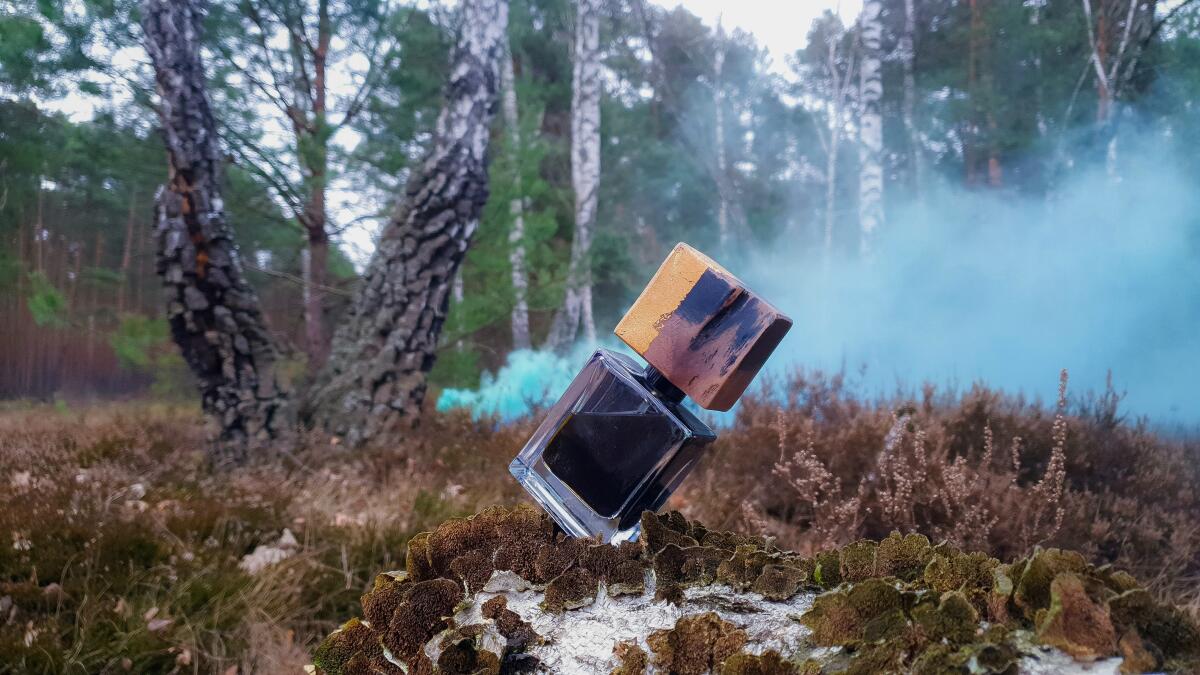 عطر ادکلن فایند می این د دارک ژوسه پرفیومز - Find Me In The Dark Jousset Parfums - بررسی، قیمت و خرید