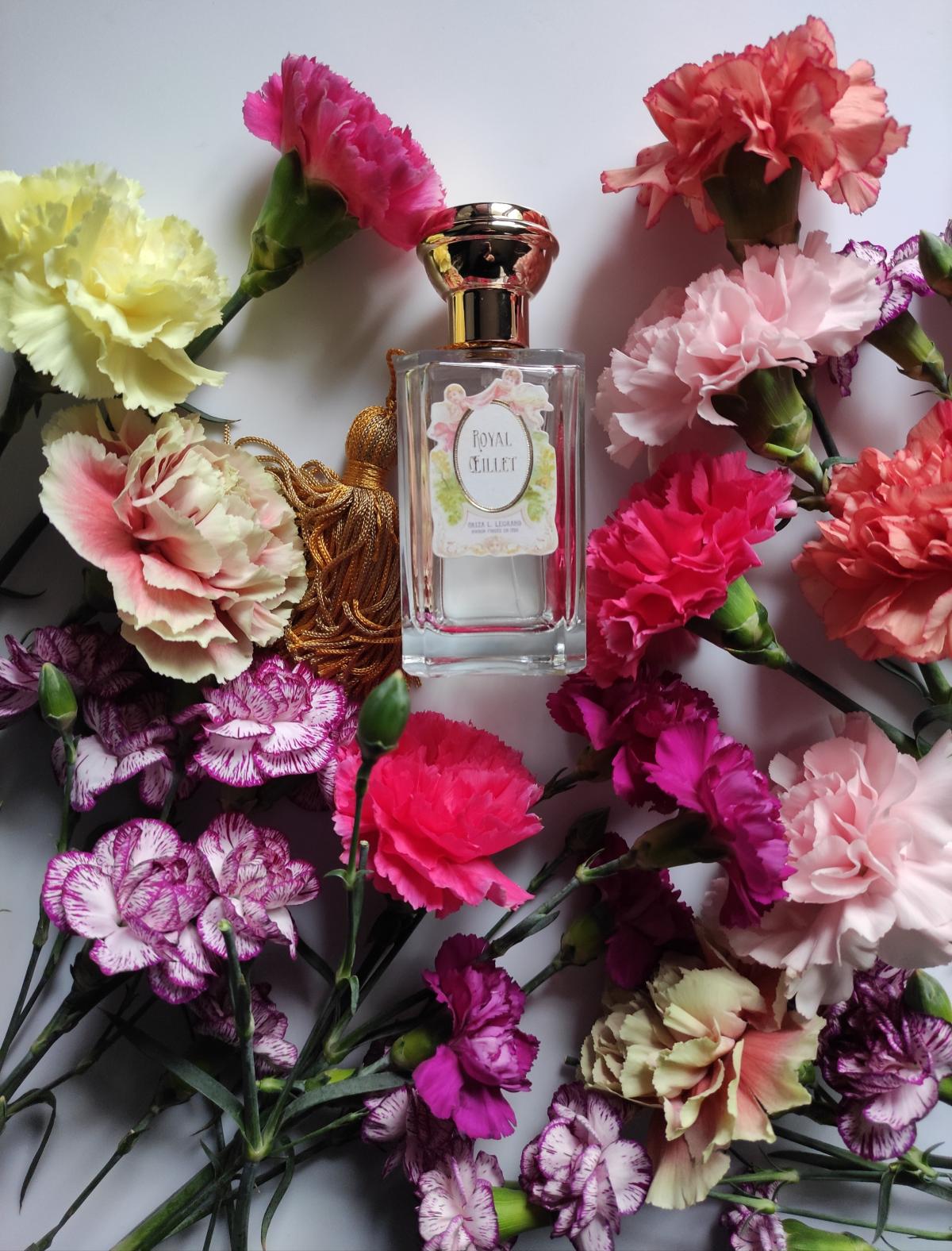 عطر ادکلن رویال اویله اوریزا ال. لگراند - Royal Oeillet Oriza L. Legrand - بررسی، قیمت و خرید