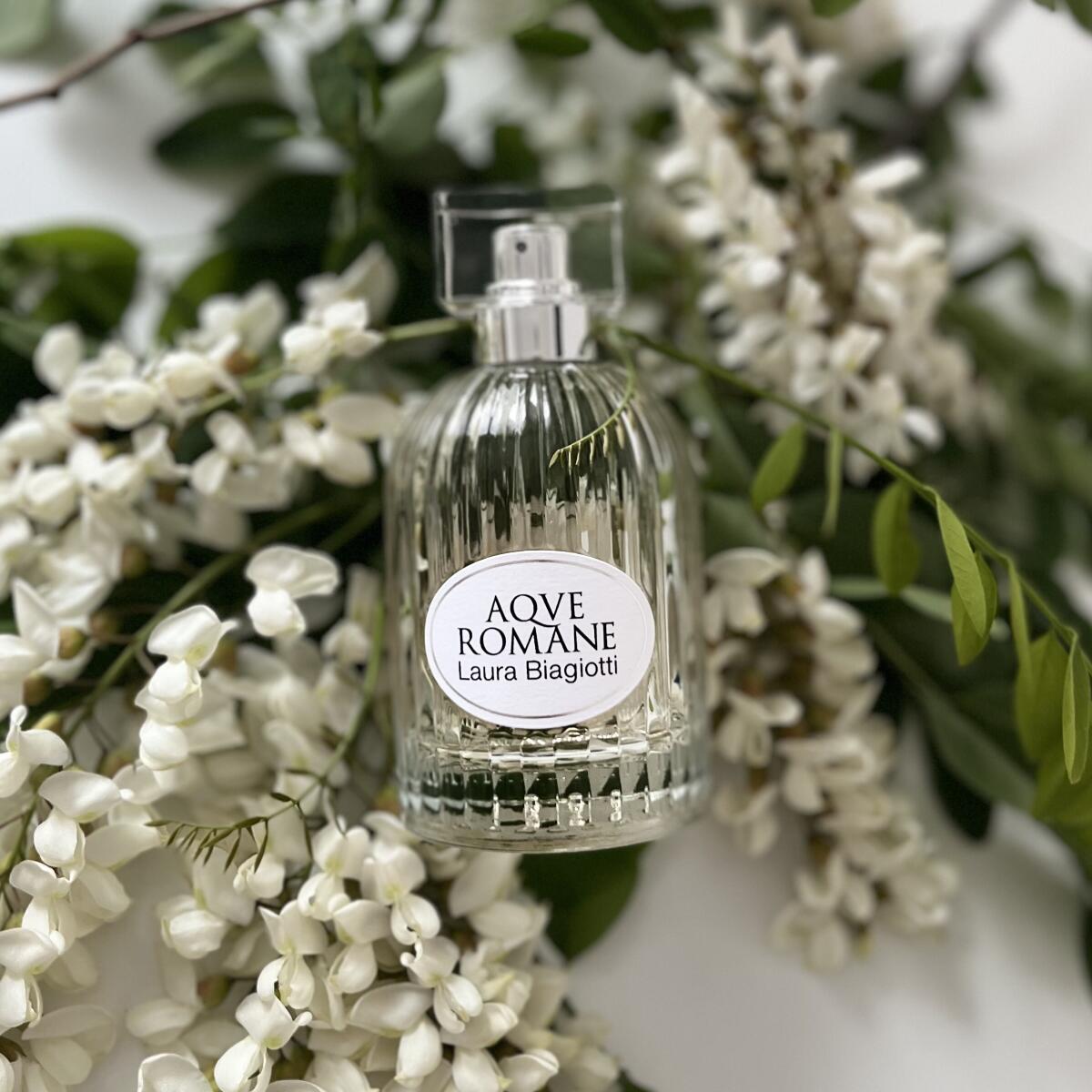 عطر ادکلن آمبرزیا اورئا لورا بیاجیوتی - Ambrosia Aurea Laura Biagiotti - بررسی، قیمت و خرید