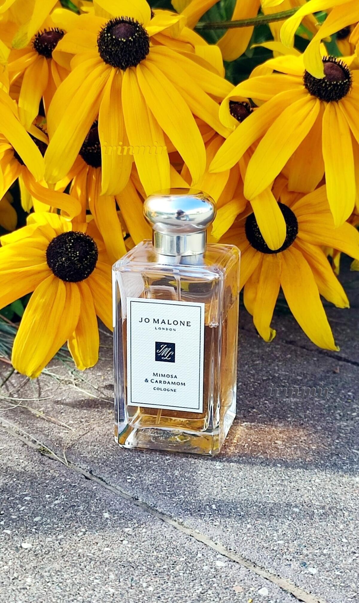 عطر ادکلن میموسا و کاردامام جو مالون لندن - Mimosa & Cardamom Jo Malone London - بررسی، قیمت و خرید