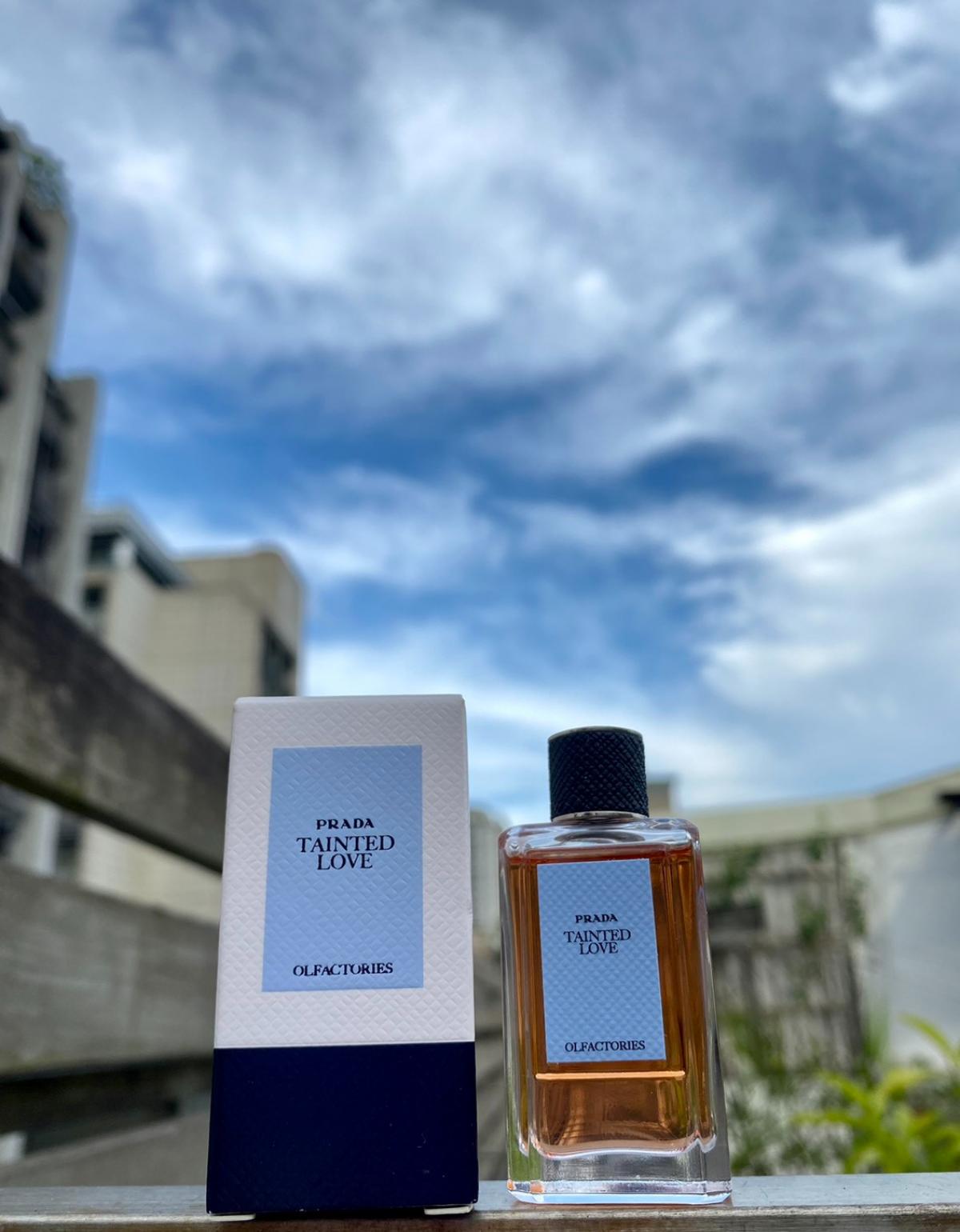 عطر ادکلن تینتد لاو پرادا - Tainted Love Prada - بررسی، قیمت و خرید