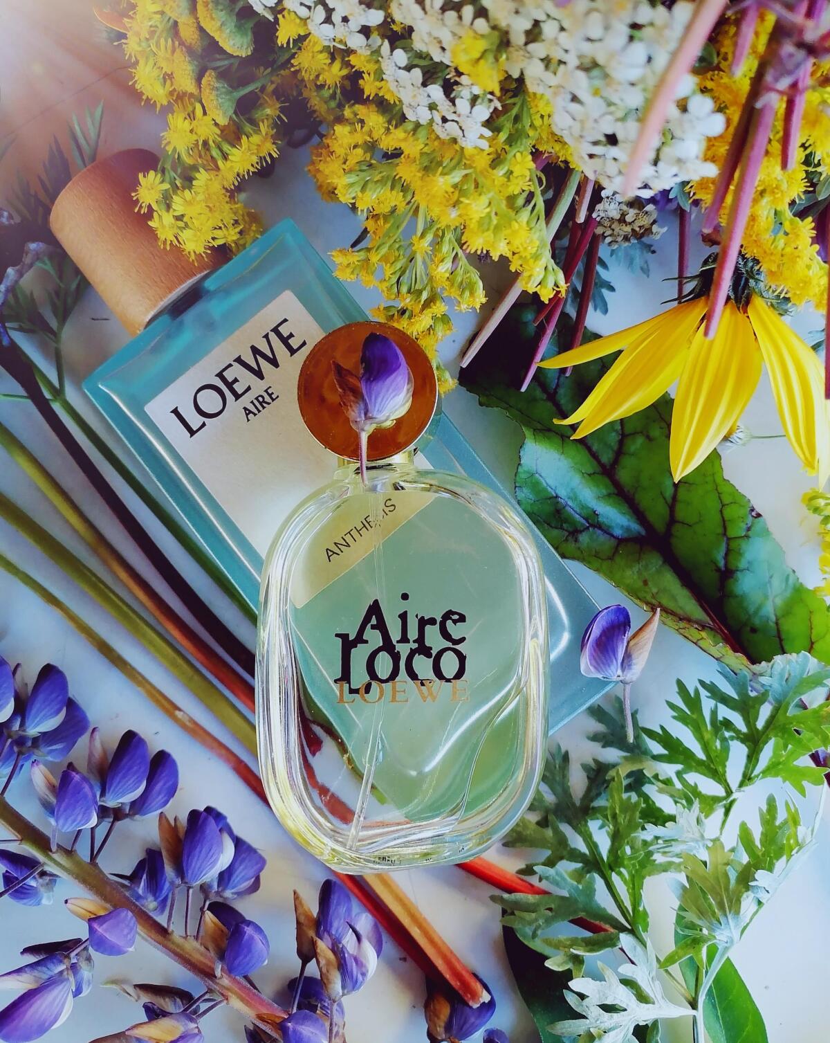 عطر ادکلن ایر آنتسیس لووه - Aire Anthesis Loewe - بررسی، قیمت و خرید